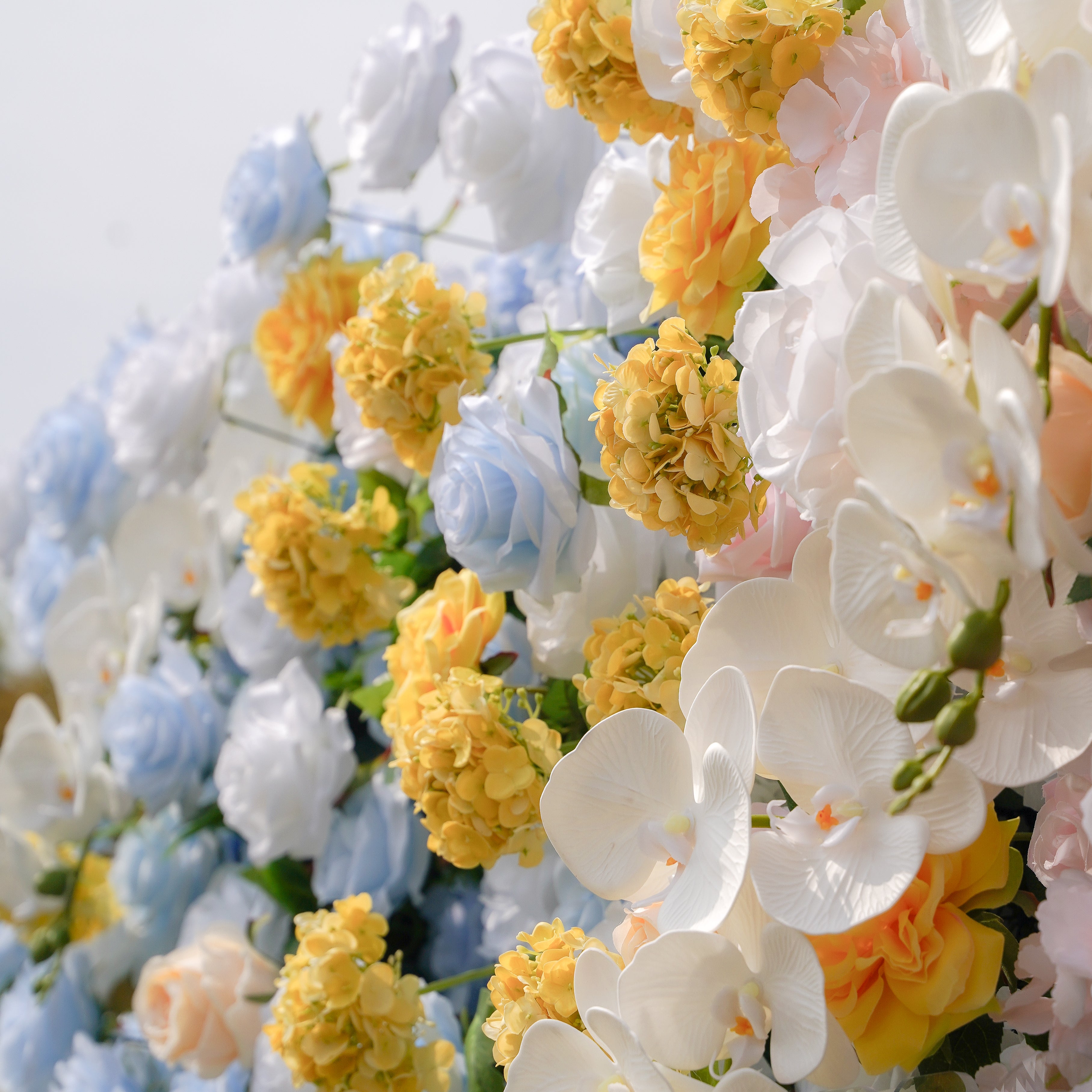 Lotte:5D Fabric Artificial rolling up curtain flower wall Rose Morning