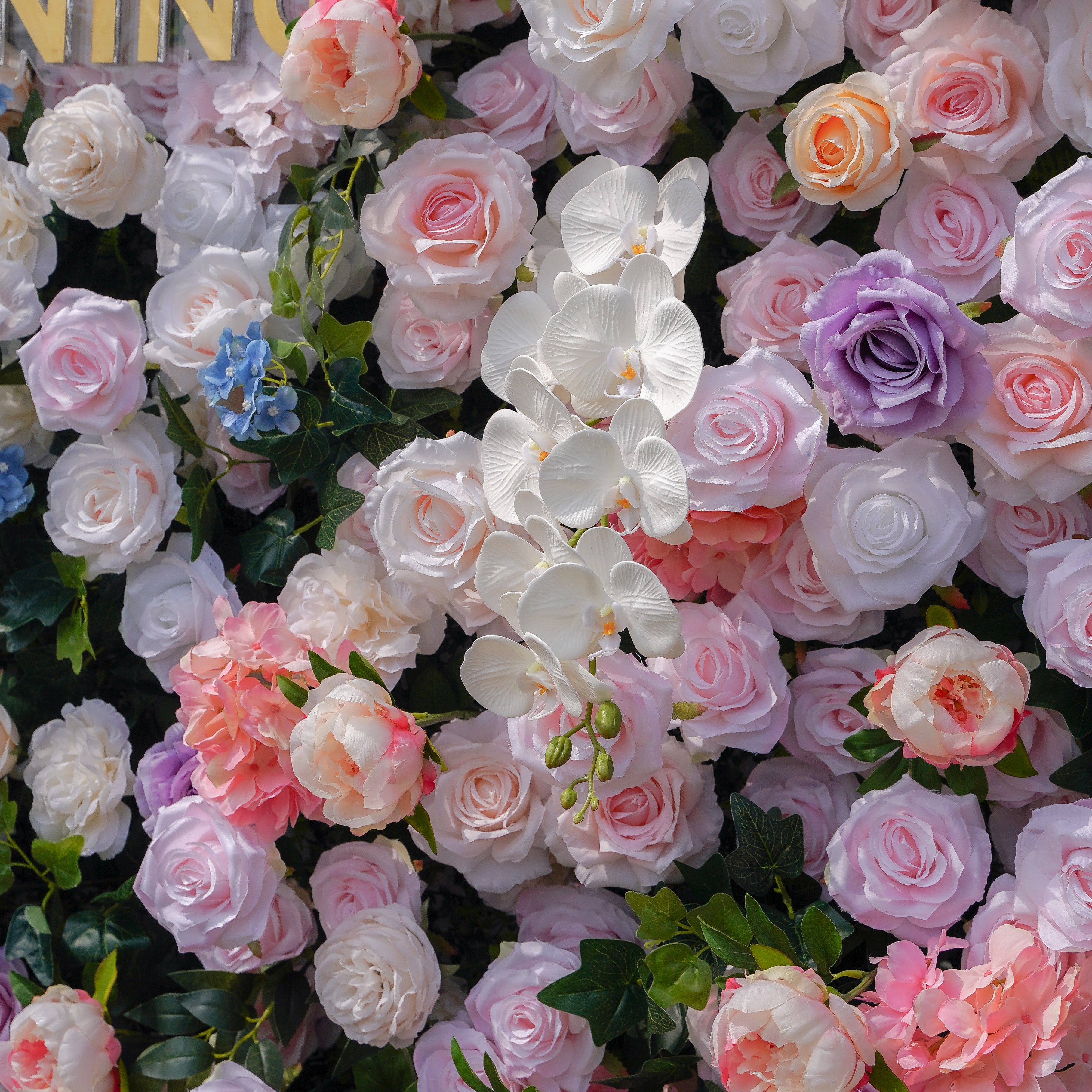 Lotte:5D Fabric Artificial rolling up curtain flower wall Rose Morning