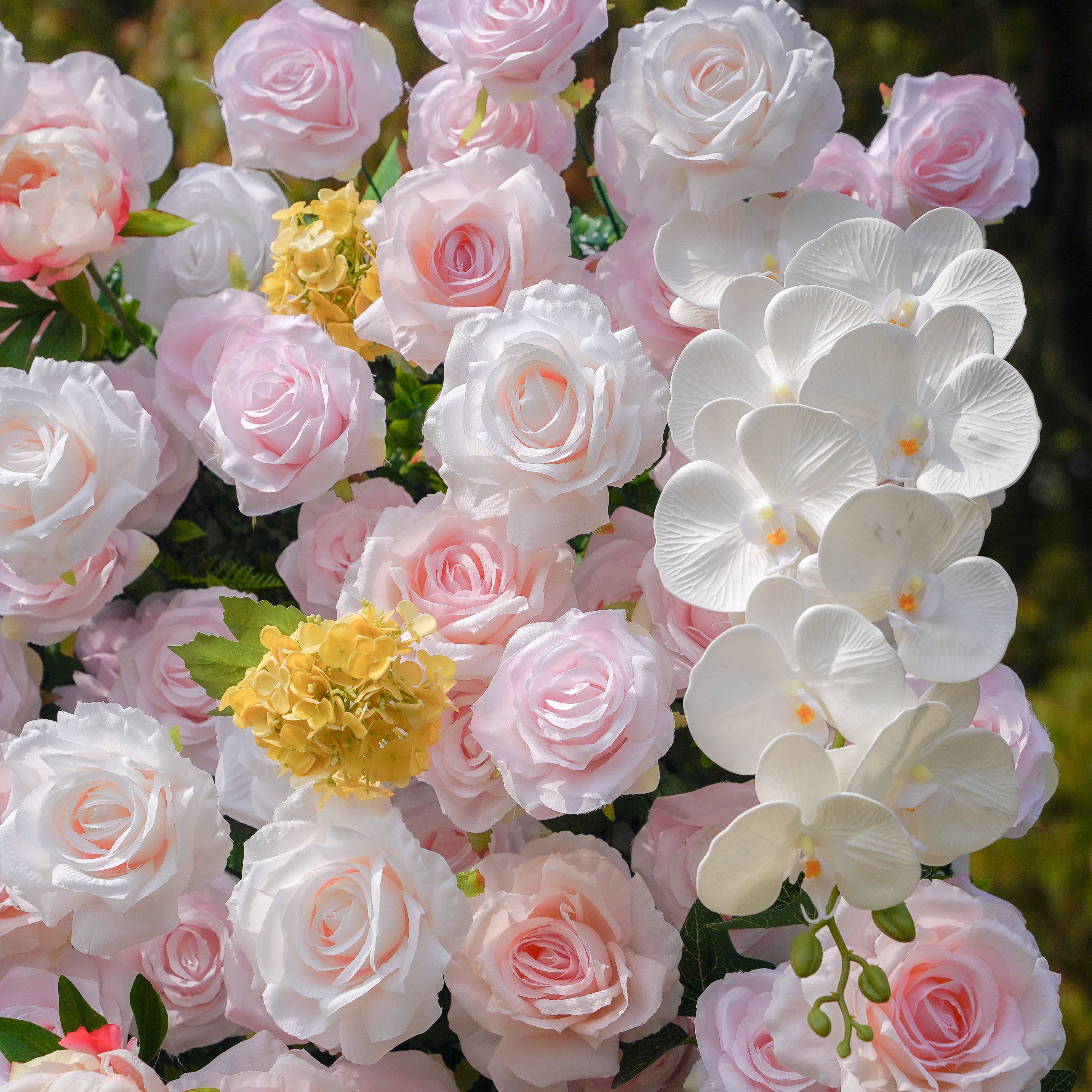 Lotte:5D Fabric Artificial rolling up curtain flower wall Rose Morning
