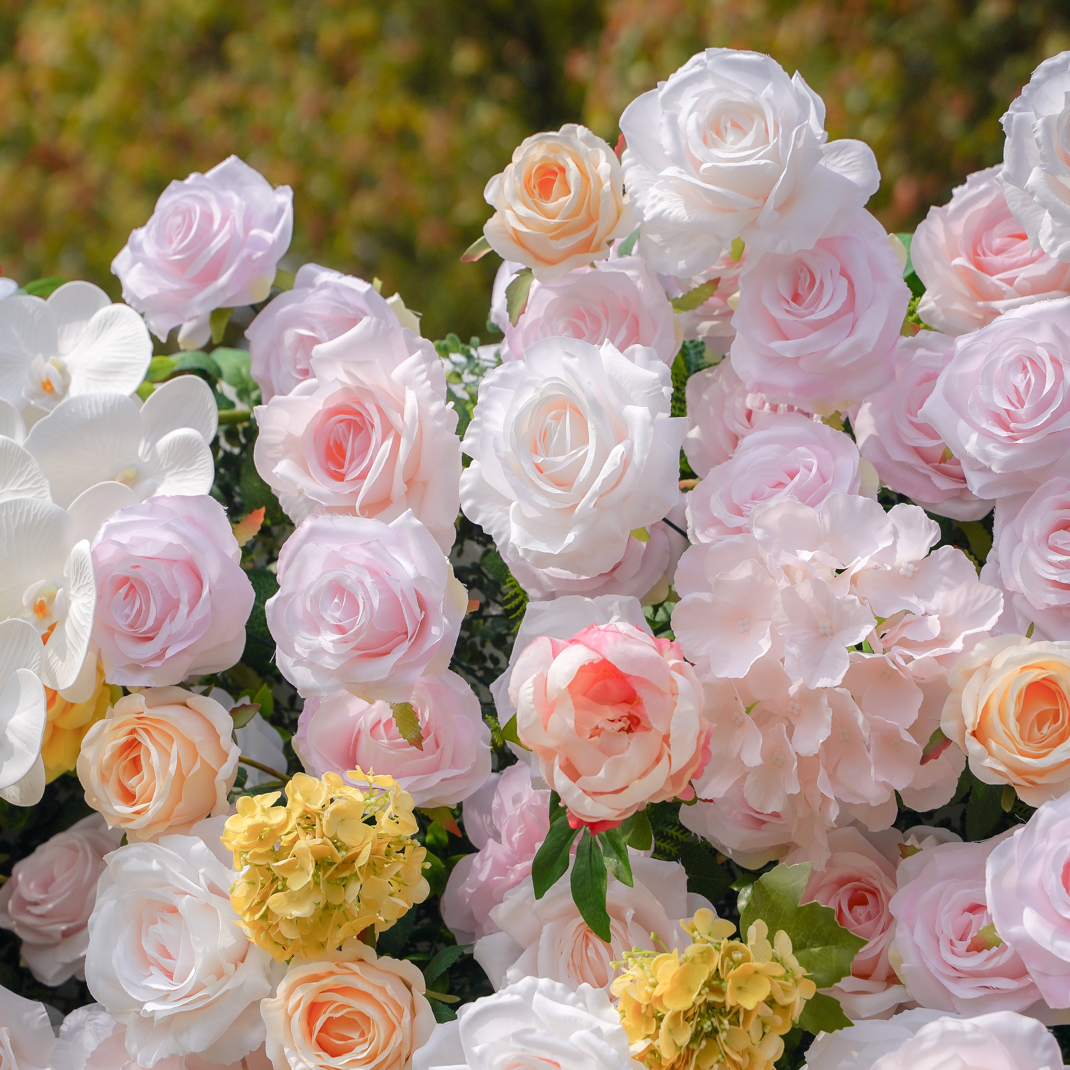 Lotte:5D Fabric Artificial rolling up curtain flower wall Rose Morning