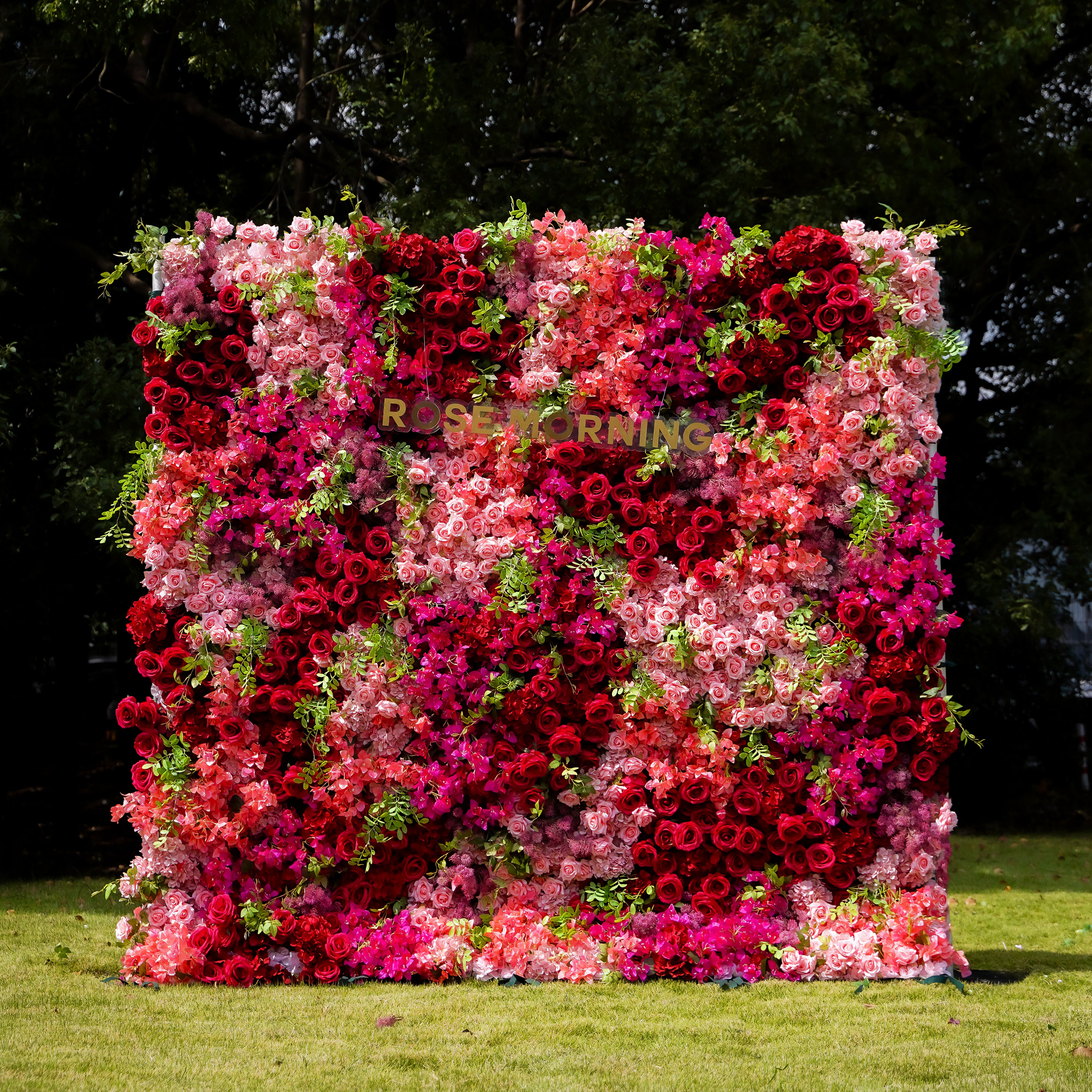 Lynda 5D Fabric Artificial rolling up curtain flower wall Rose Morning