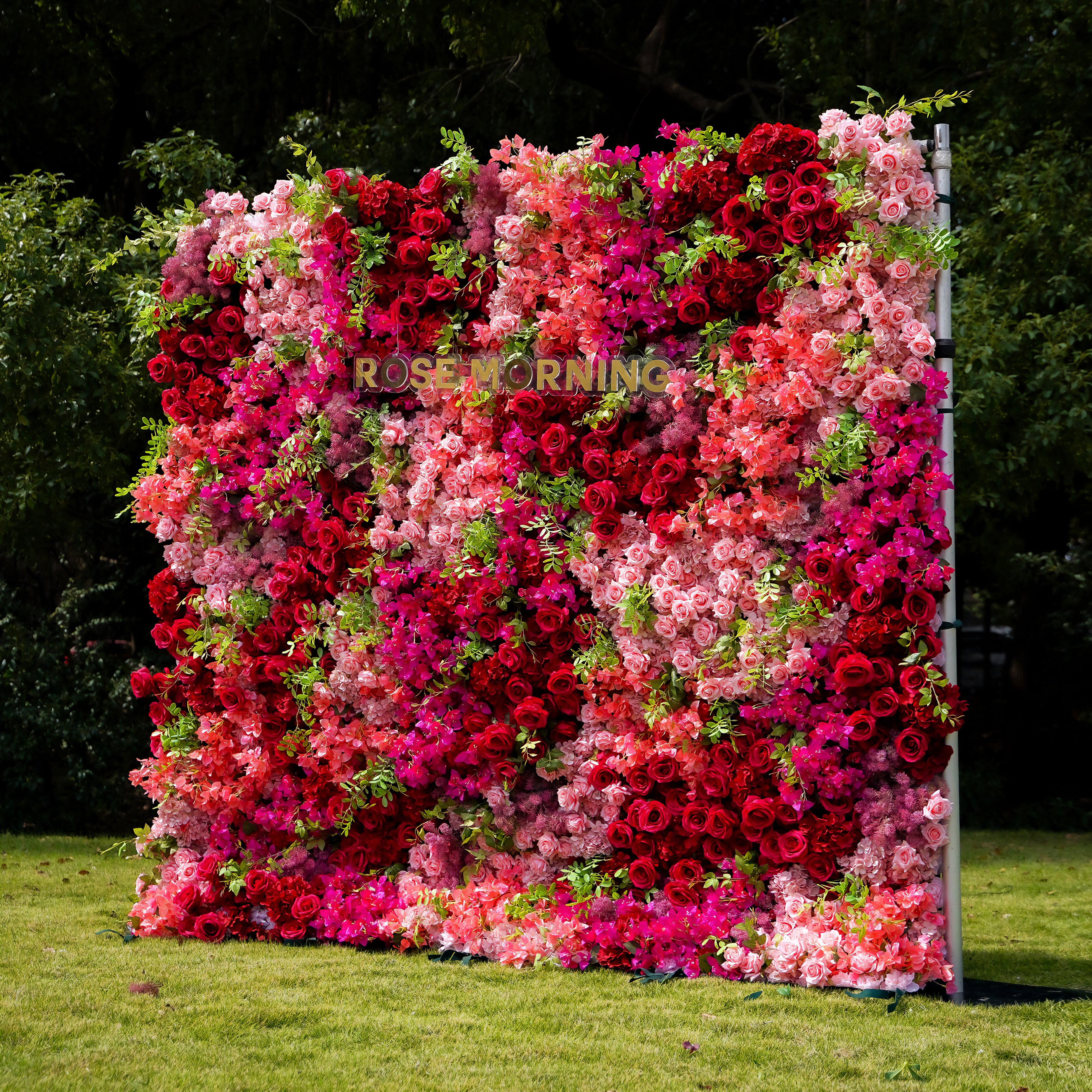 Lynda 5D Fabric Artificial rolling up curtain flower wall Rose Morning