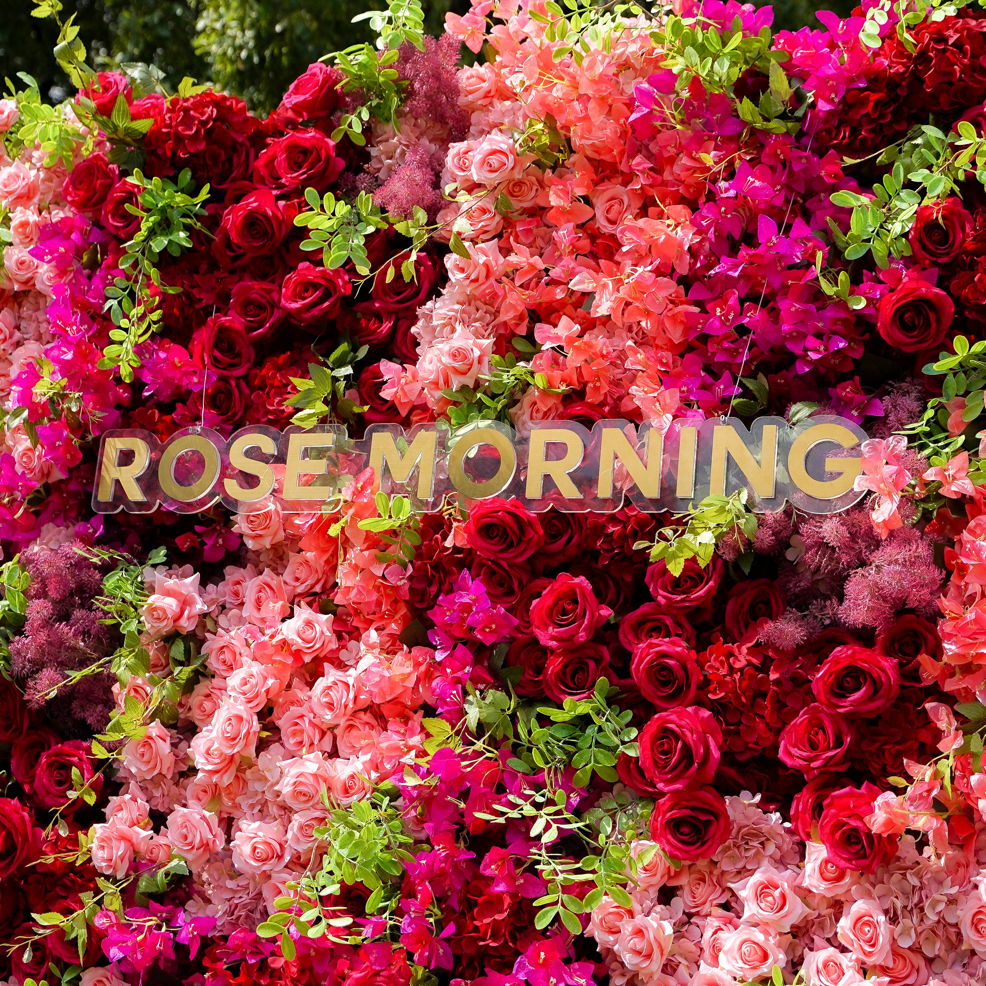 Lynda 5D Fabric Artificial rolling up curtain flower wall Rose Morning