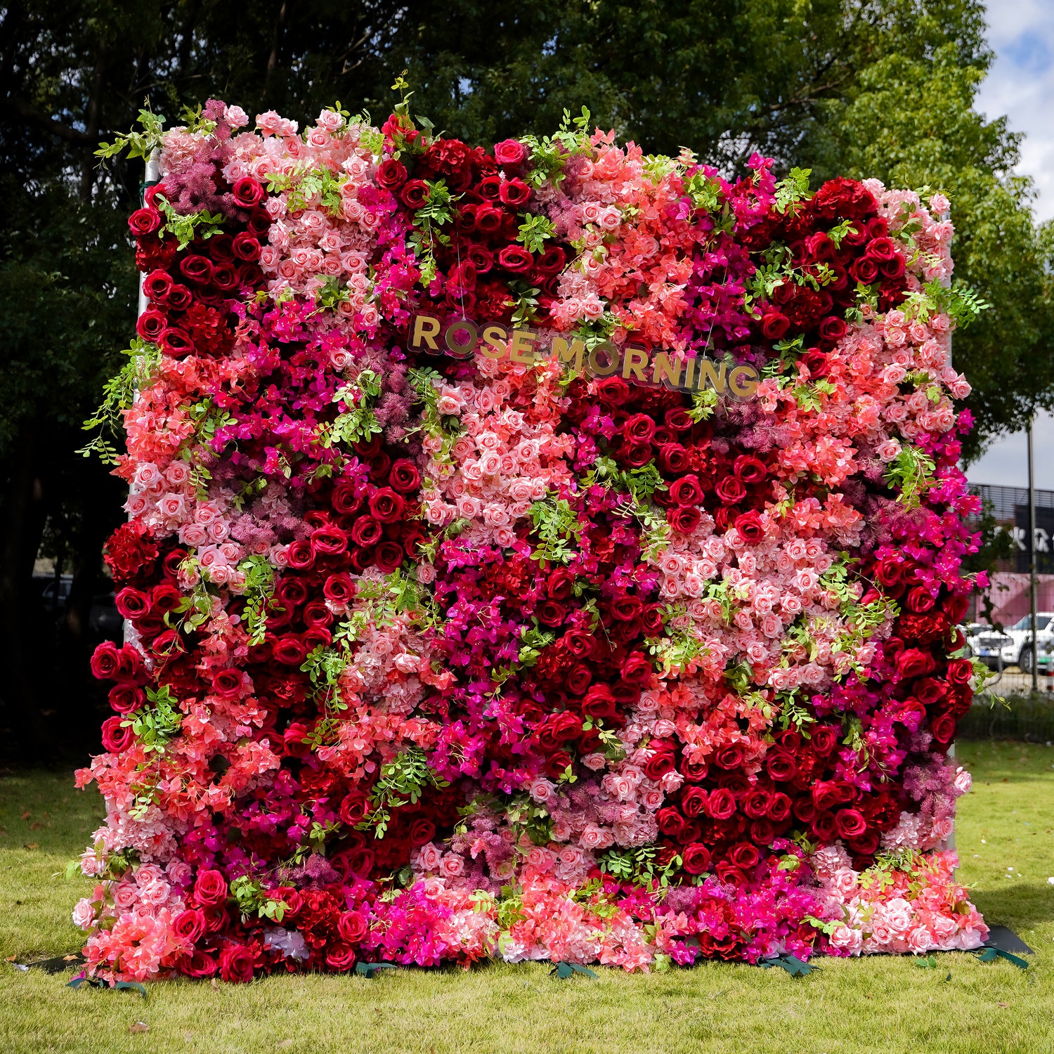 Lynda 5D Fabric Artificial rolling up curtain flower wall Rose Morning