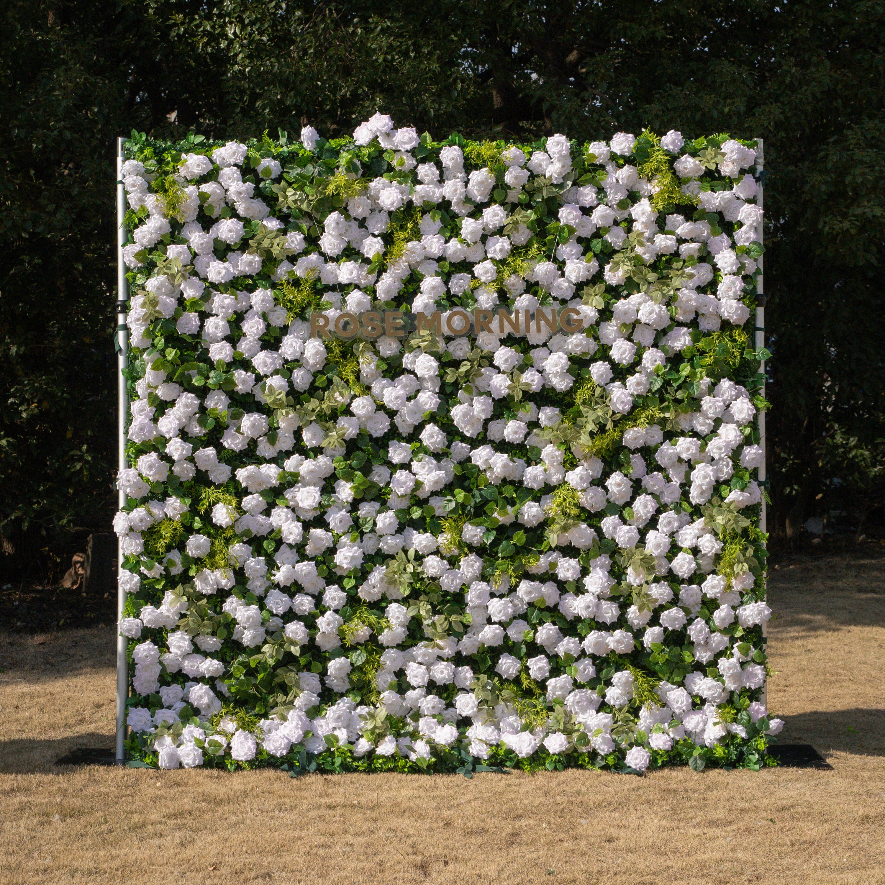 Magica:2026 New Launch-Sun-Activated Color-Changing Rose Flower Wall Backdrop (8×8) — One Wall, Two Looks: White Indoors → Blush Pink in Sunlight