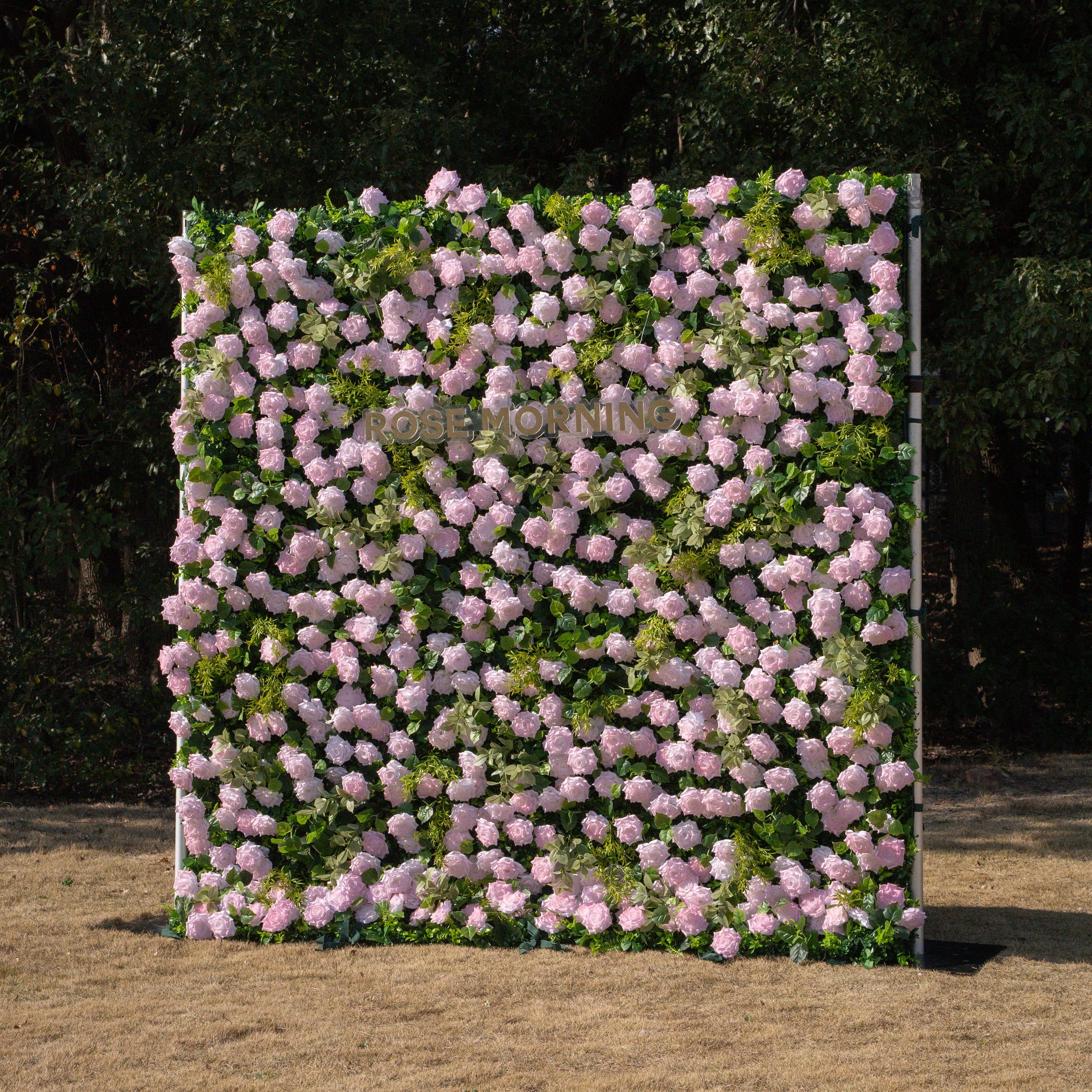 Magica:2026 New Launch-Sun-Activated Color-Changing Rose Flower Wall Backdrop (8×8) — One Wall, Two Looks: White Indoors → Blush Pink in Sunlight