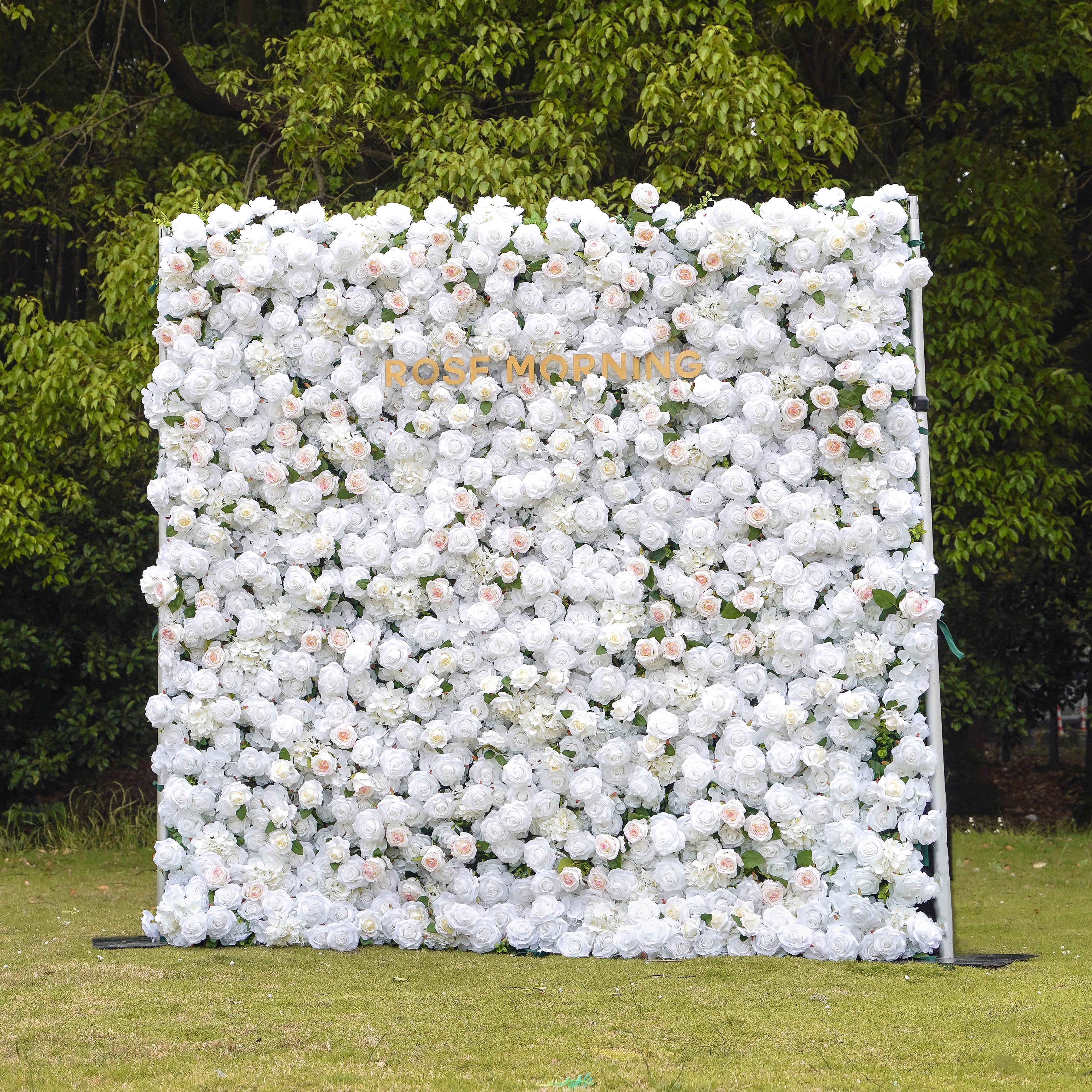 Majo:5D Fabric Artificial rolling up curtain flower wall Rose Morning