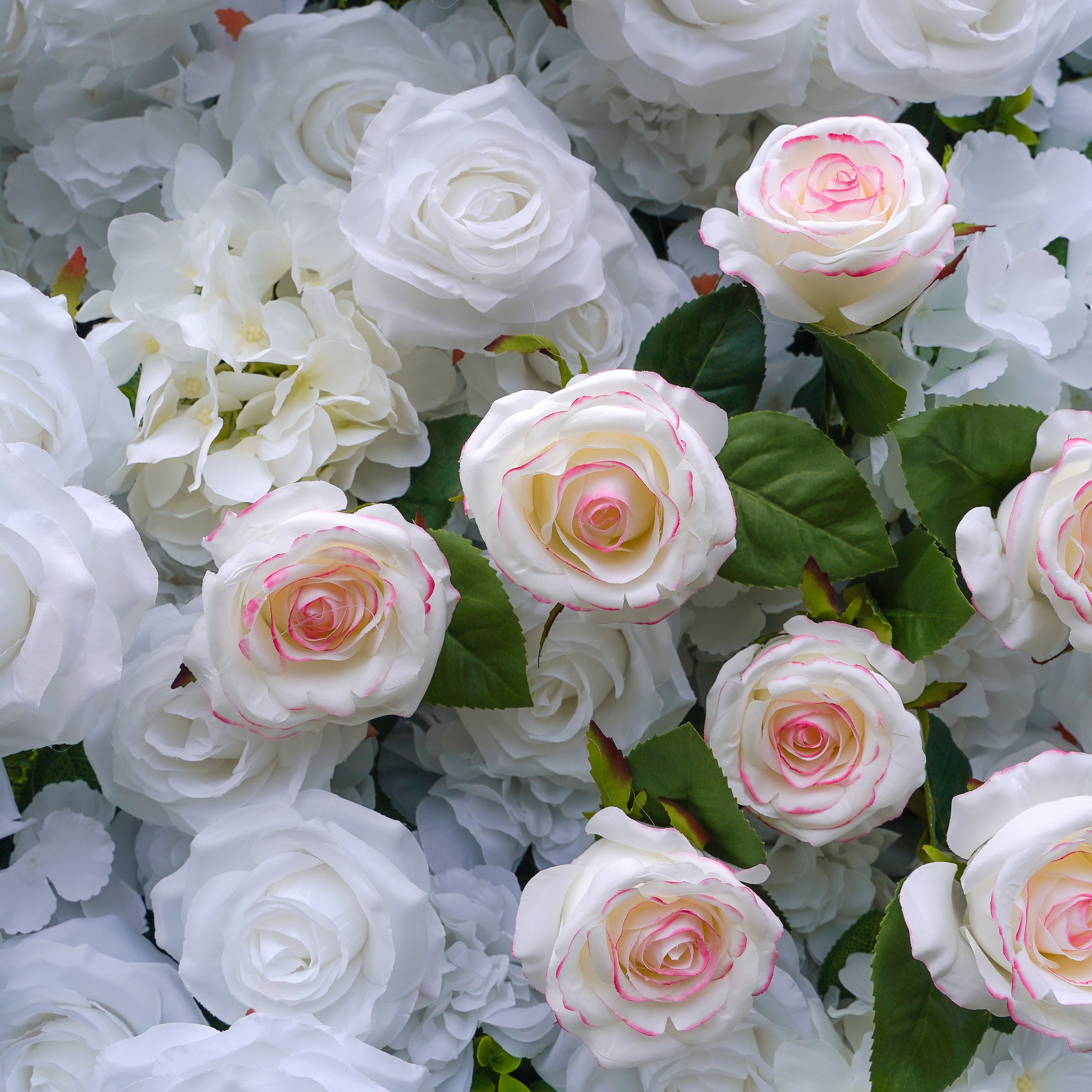 Majo:5D Fabric Artificial rolling up curtain flower wall Rose Morning