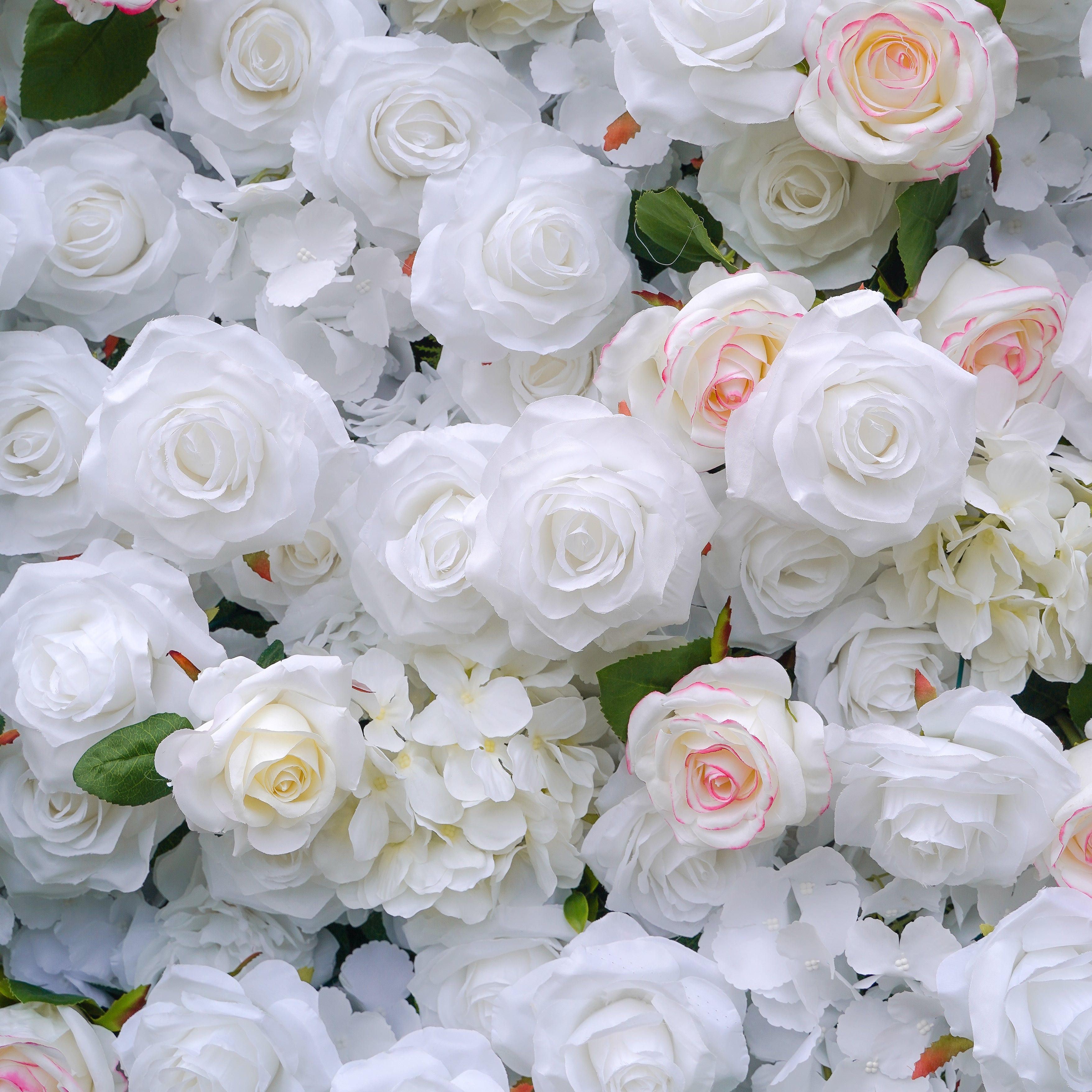 Majo:5D Fabric Artificial rolling up curtain flower wall Rose Morning