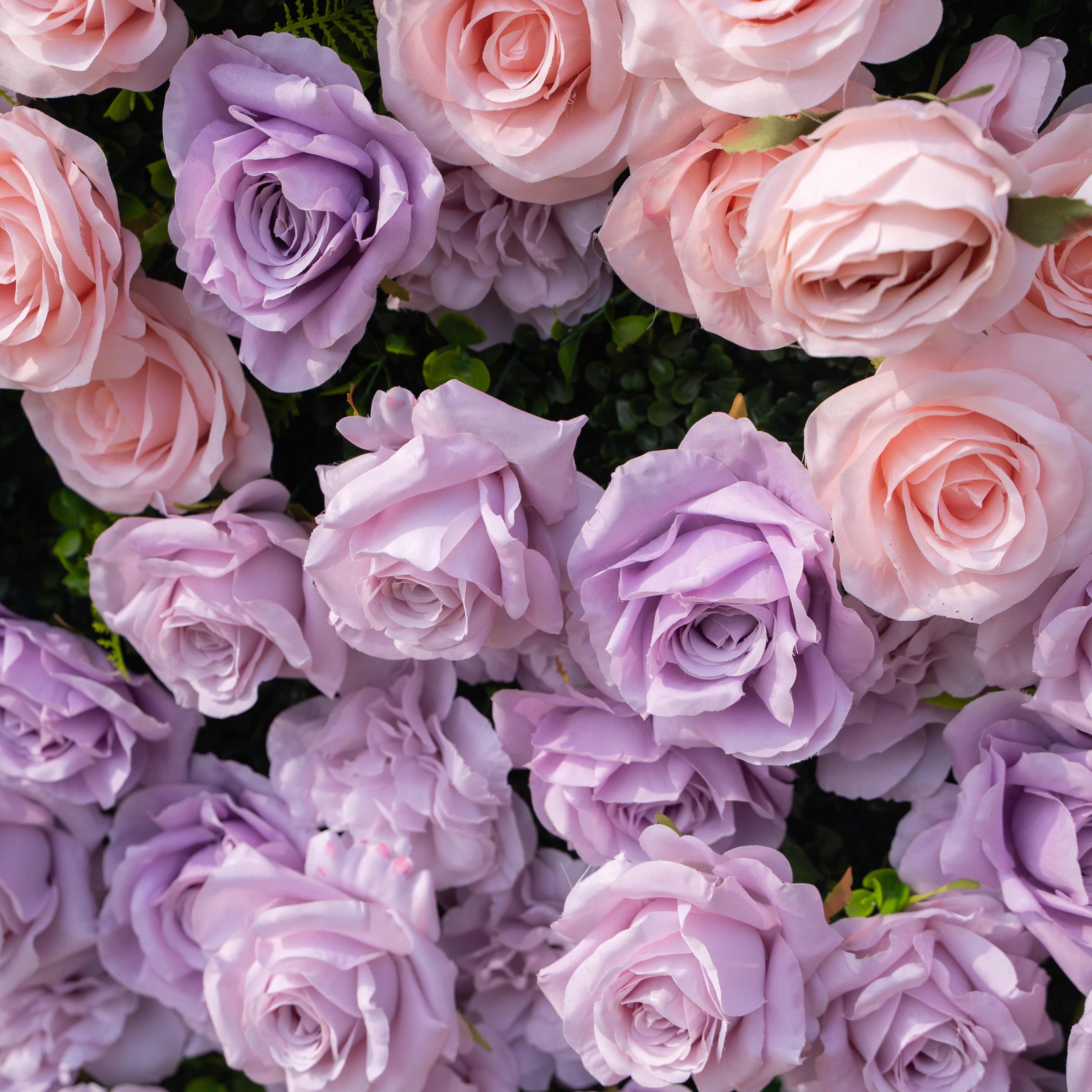 Maris: Luxury 3D Lavender & Blush Silk Rose Floral Wall Roll-Up Fabric Backdrop for Romantic Weddings & Bridal Showers