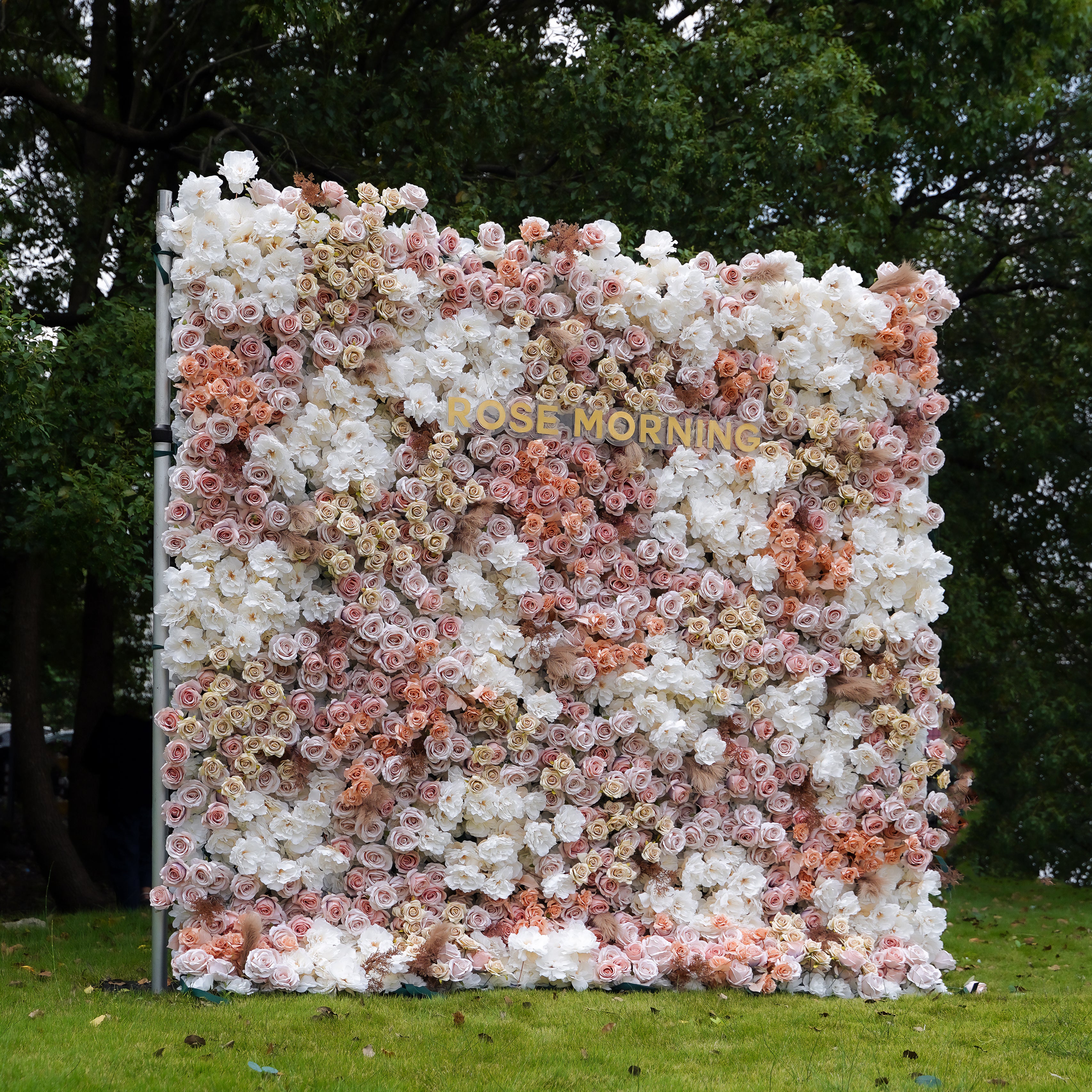 Matilda 5D Fabric Artificial rolling up curtain flower wall Rose Morning