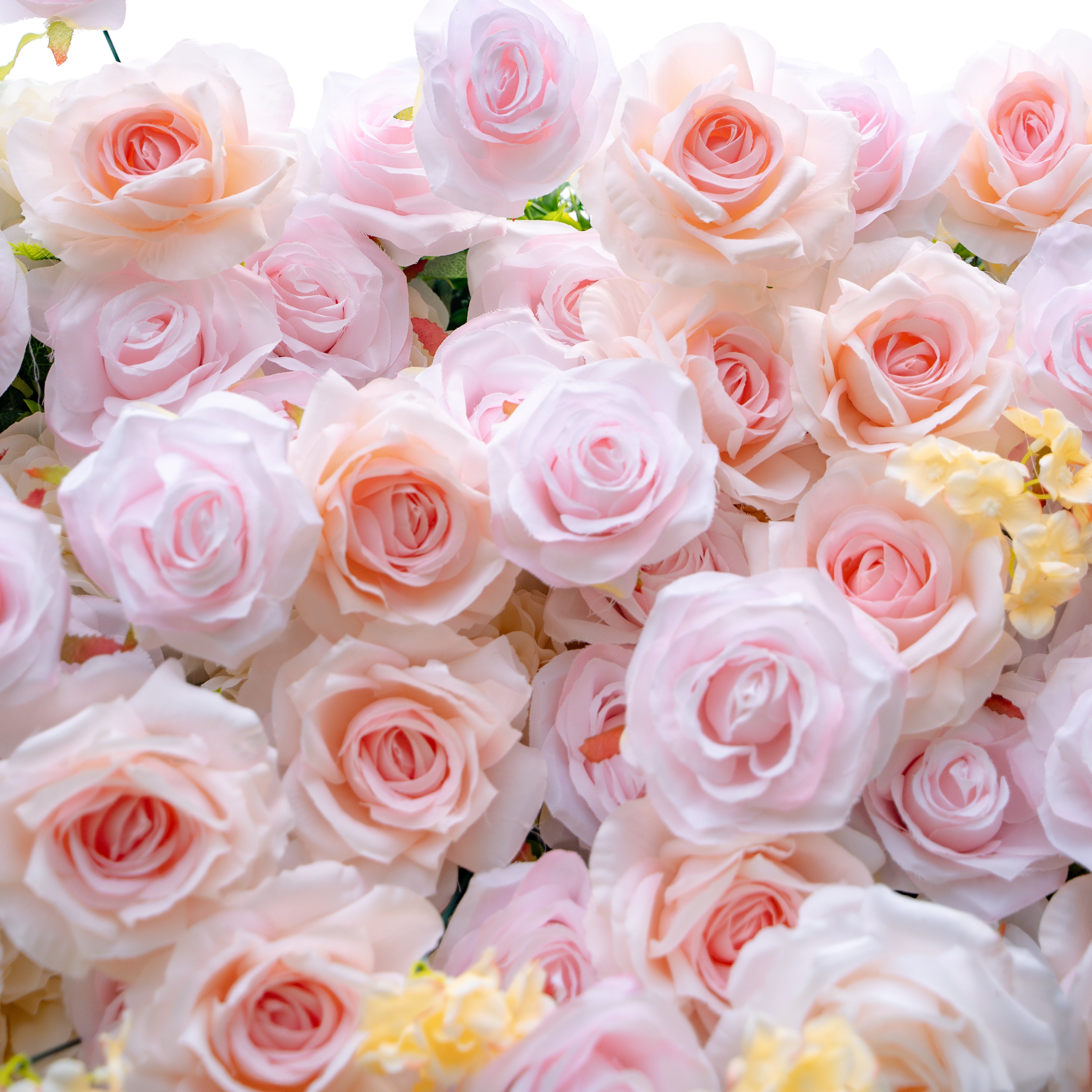 Melina:5D Fabric Artificial rolling up curtain flower wall (Ready to ship) Rose Morning