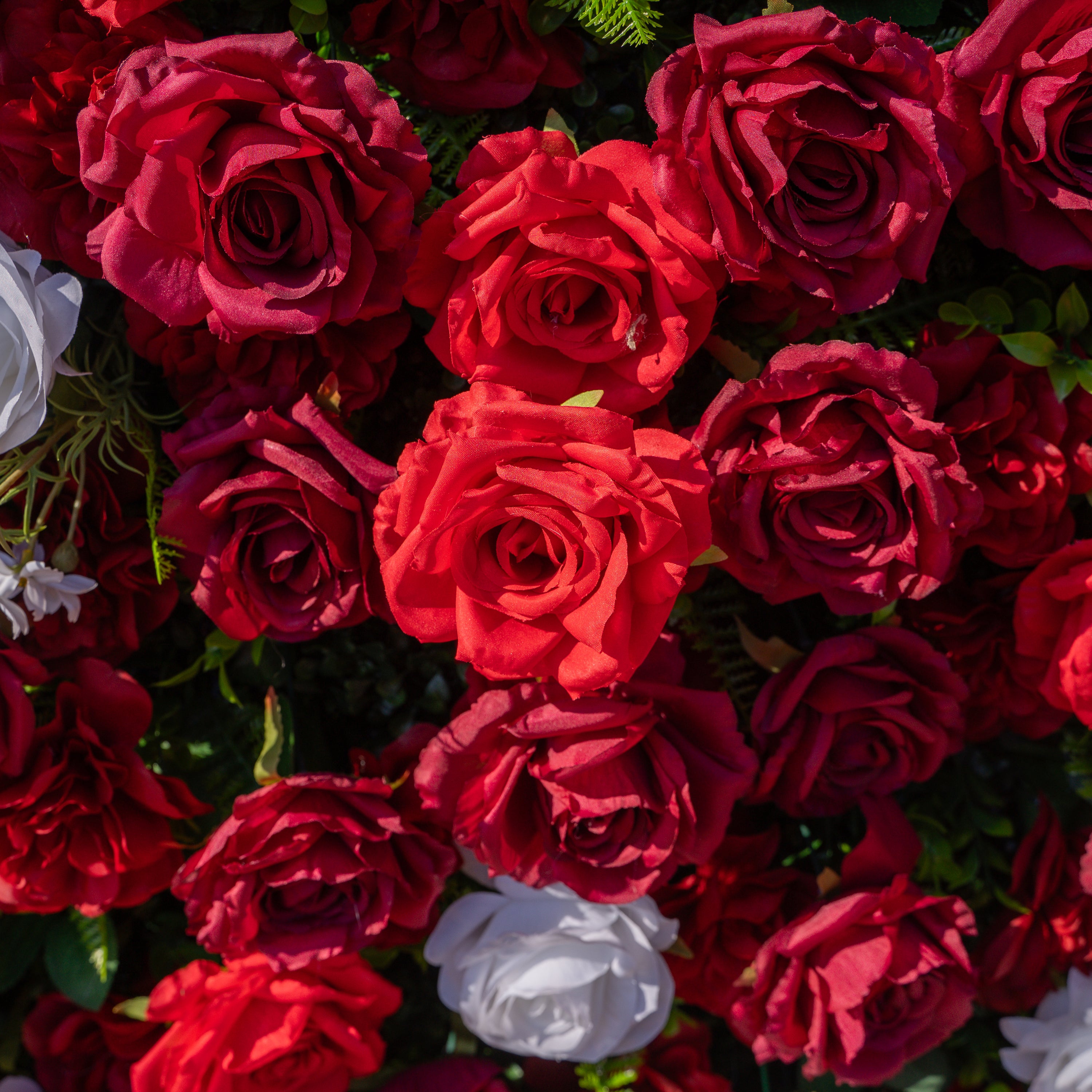Meraki: 3D Luxury Crimson Red & White Silk Floral Wall Roll-Up Fabric Backdrop for Grand Weddings & Valentine’s Events