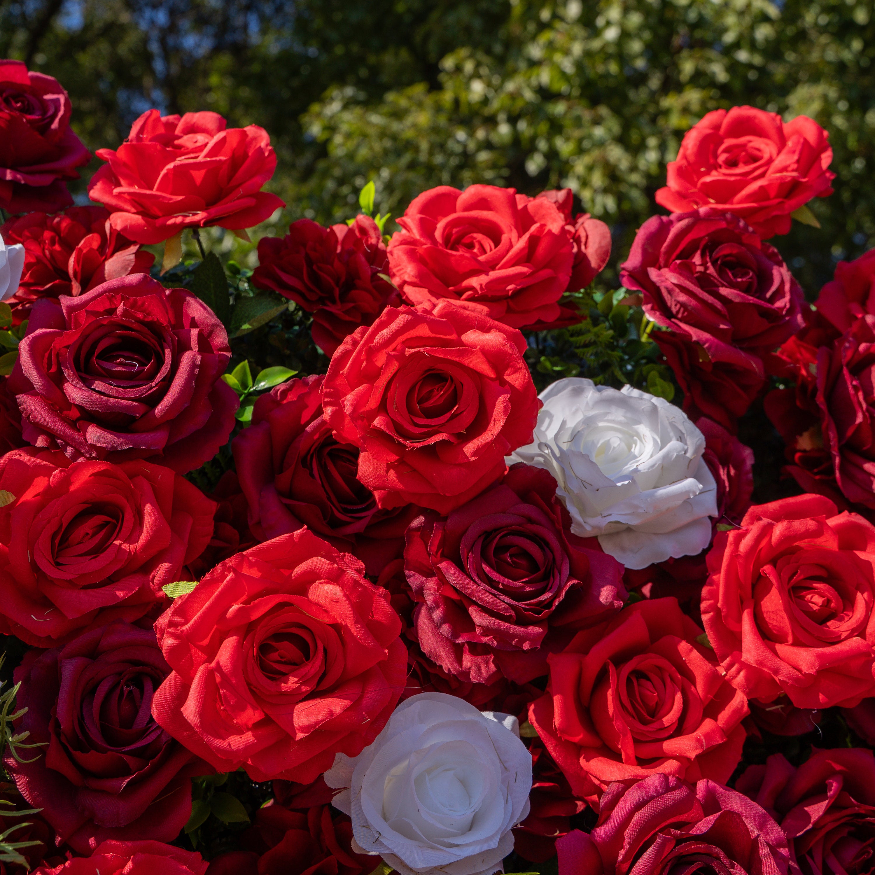 Meraki: 3D Luxury Crimson Red & White Silk Floral Wall Roll-Up Fabric Backdrop for Grand Weddings & Valentine’s Events