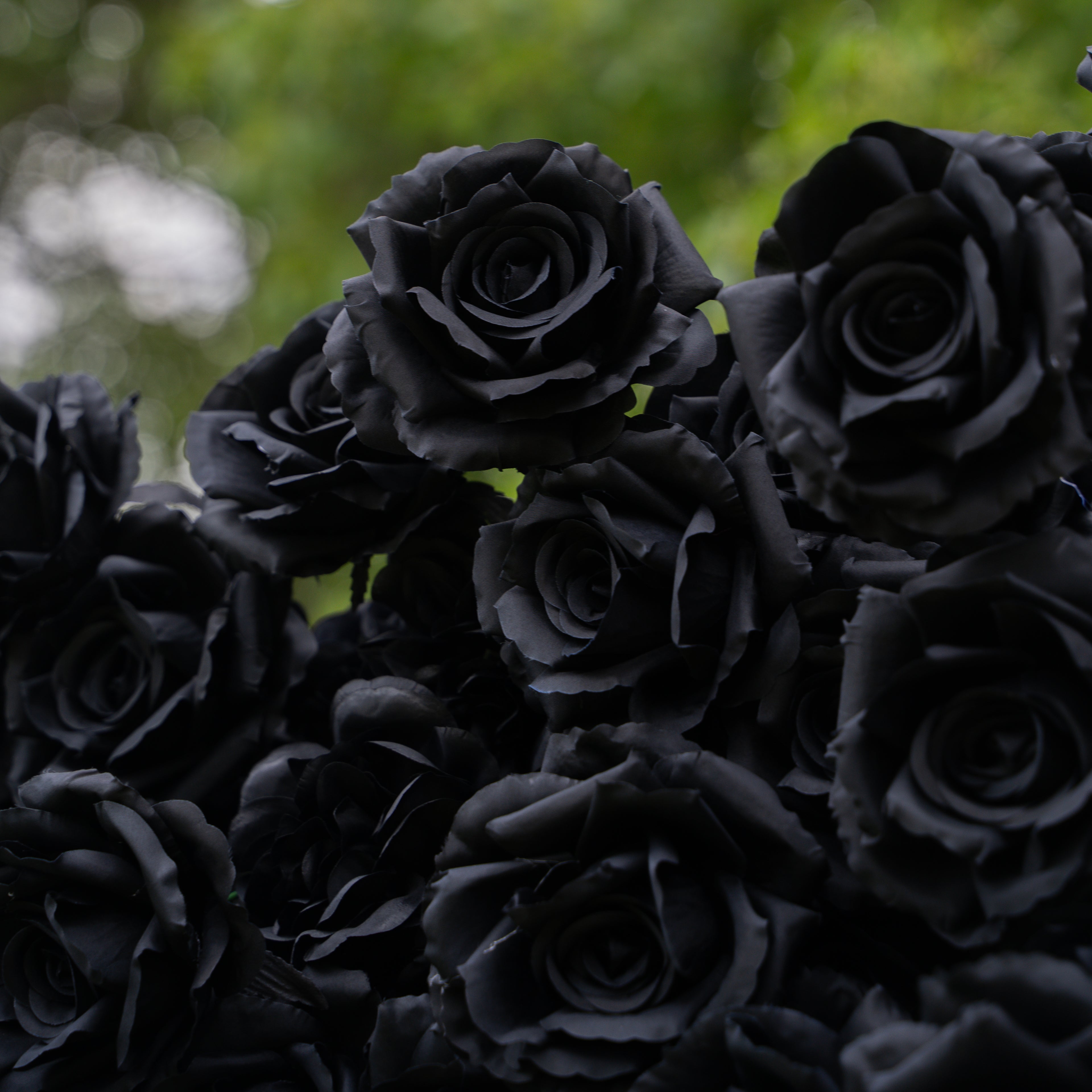 Midnight:3D Fabric Artificial rolling up curtain Black Rose Flower Wall