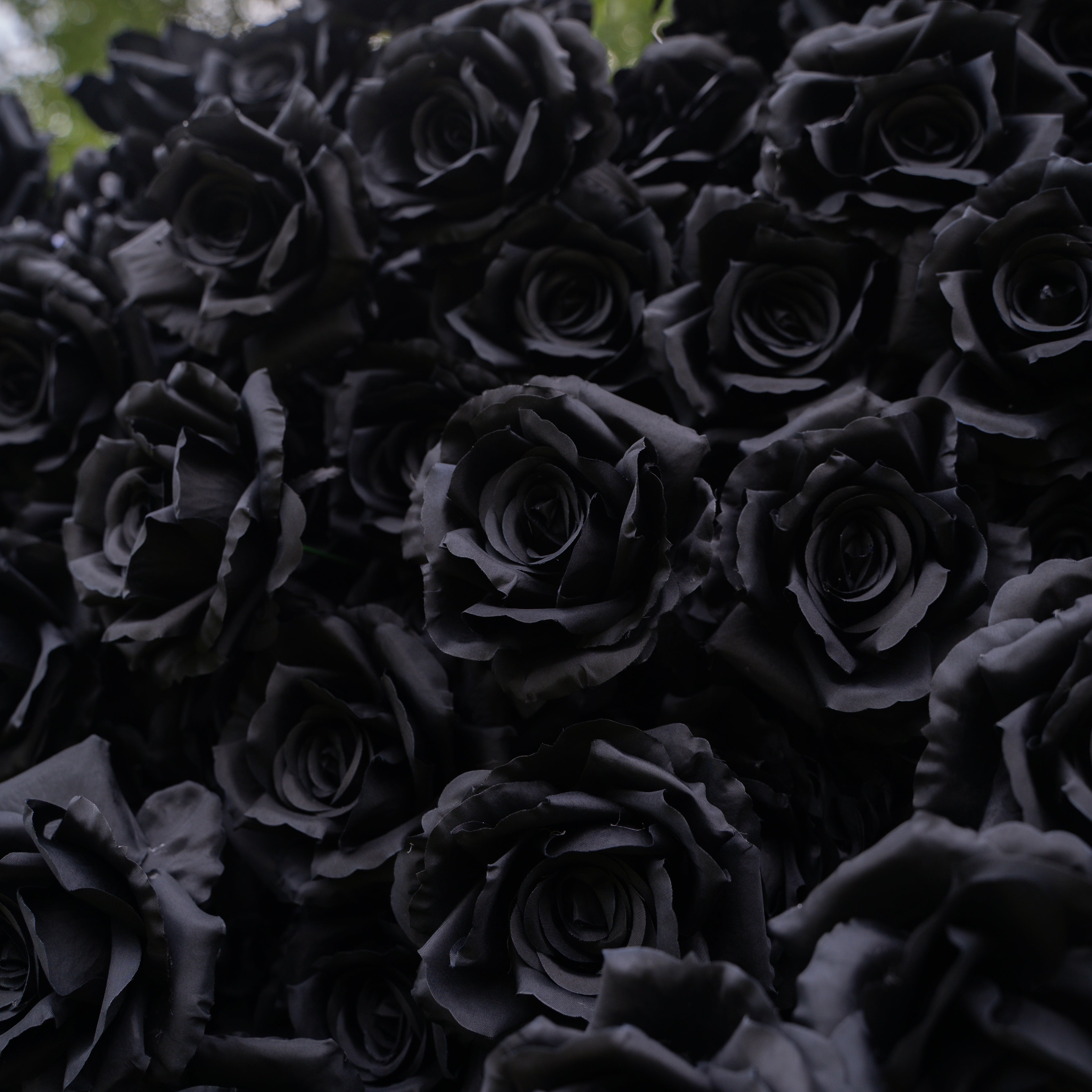 Midnight:3D Fabric Artificial rolling up curtain Black Rose Flower Wall