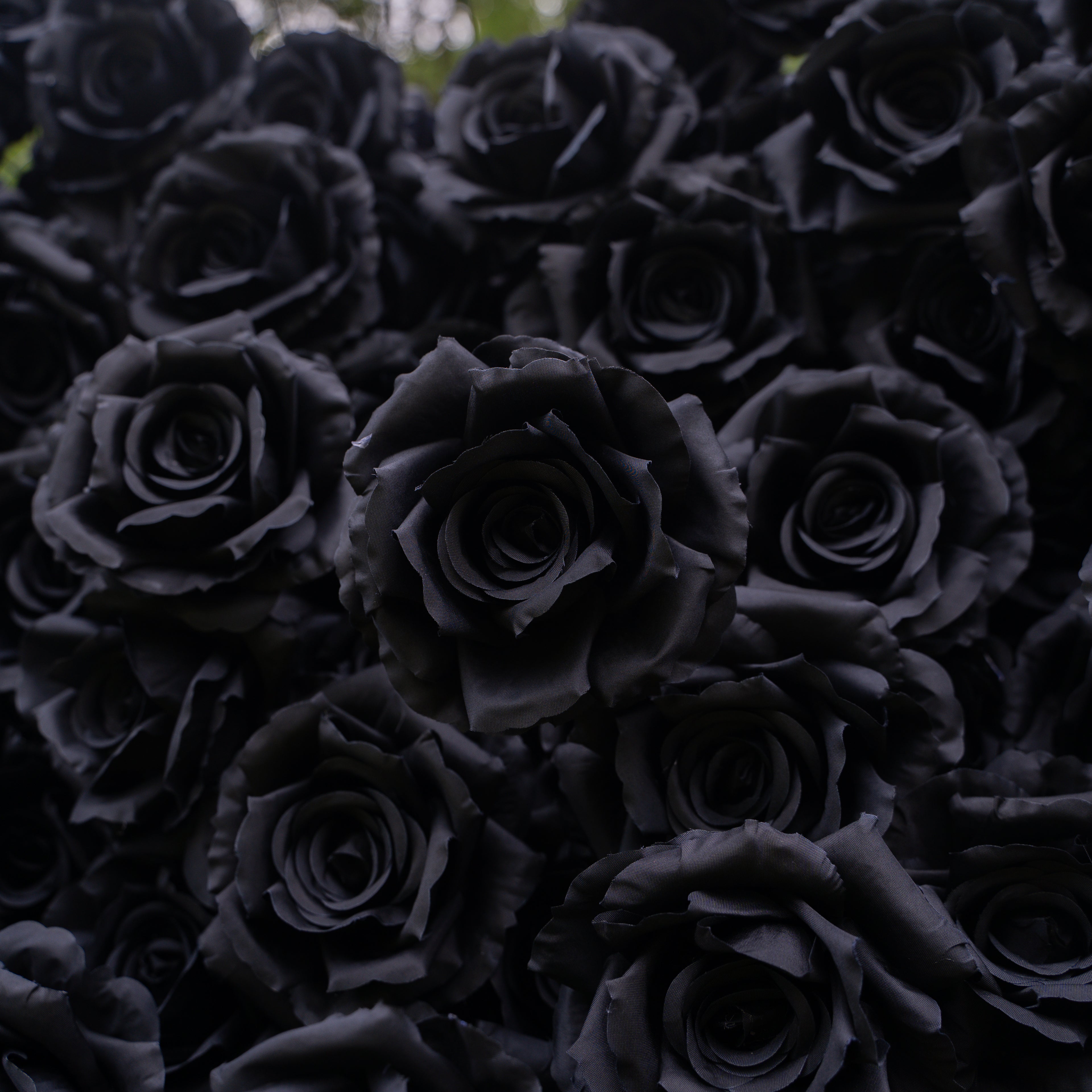 Midnight:3D Fabric Artificial rolling up curtain Black Rose Flower Wall