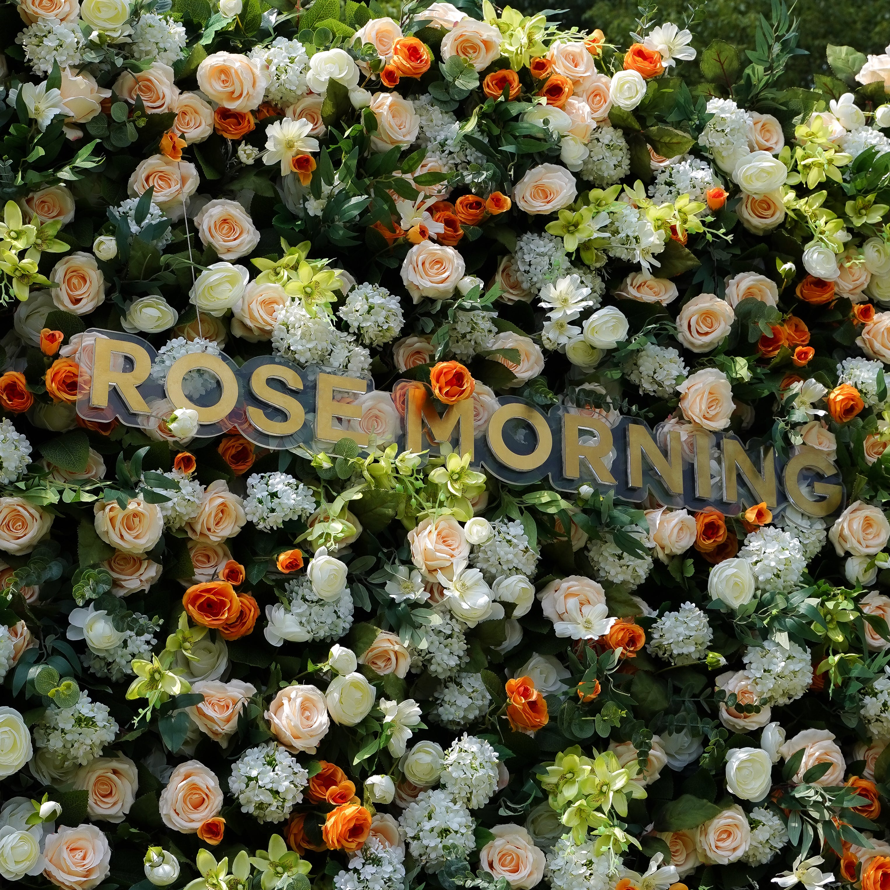 Mila 5D Fabric Artificial rolling up curtain flower wall Rose Morning