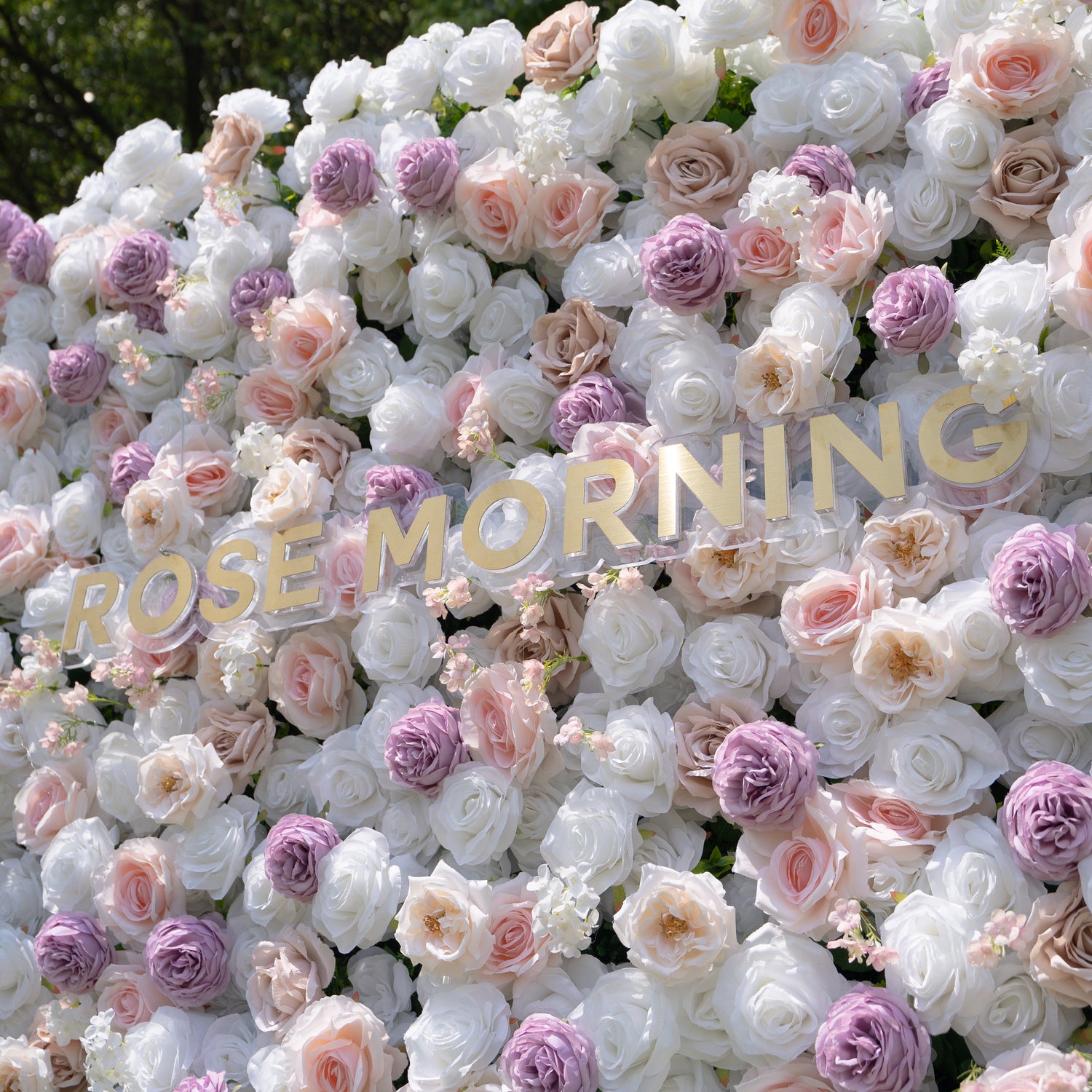 Minnie:5D Fabric Artificial rolling up curtain flower wall (Ready to ship) Rose Morning