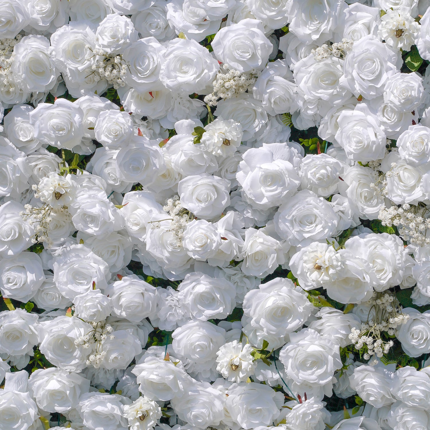 Miya:5D Fabric Artificial rolling up curtain flower wall Rose Morning