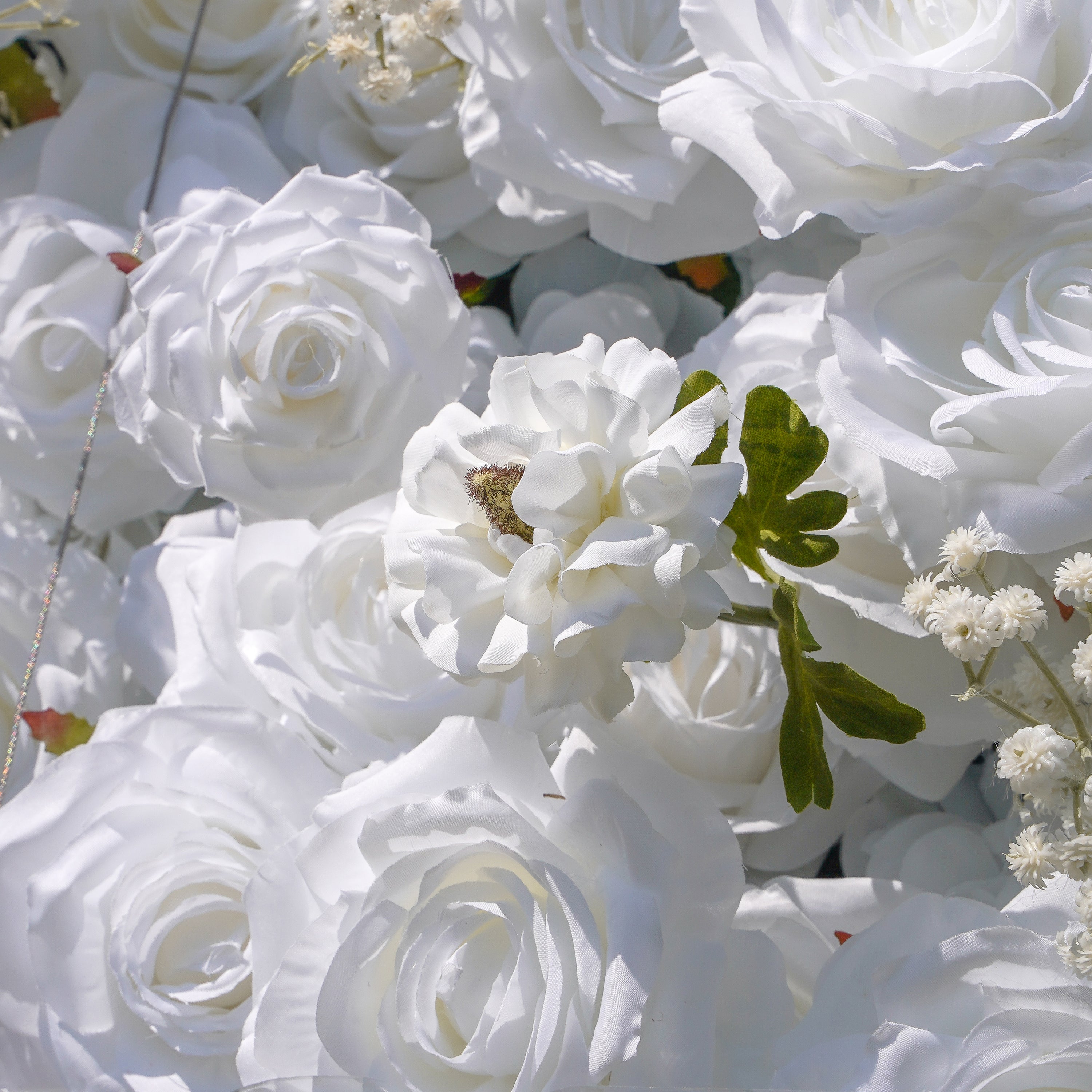 Miya:5D Fabric Artificial rolling up curtain flower wall Rose Morning