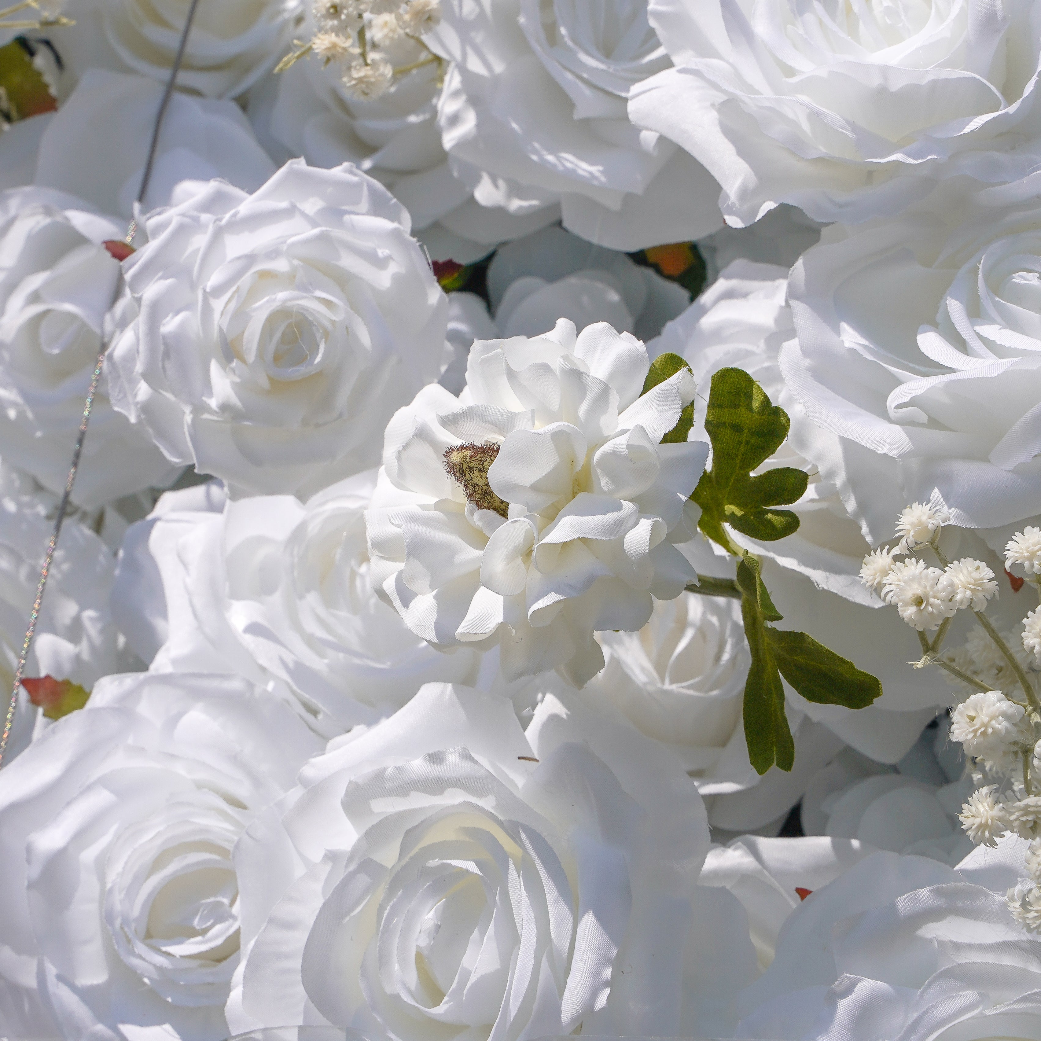 Miya:5D Fabric Artificial rolling up curtain flower wall Rose Morning