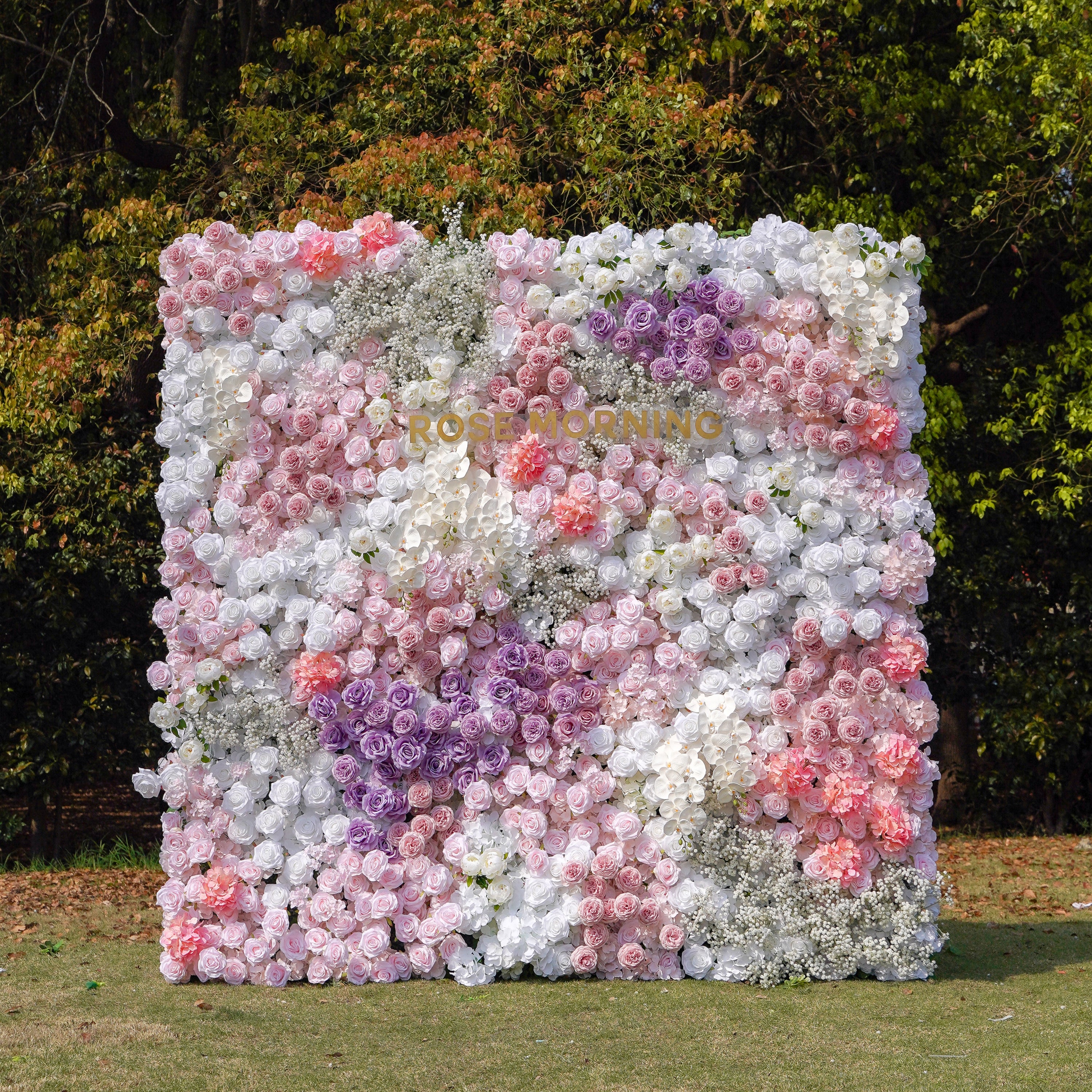 Nari:5D Fabric Artificial rolling up curtain flower wall Rose Morning