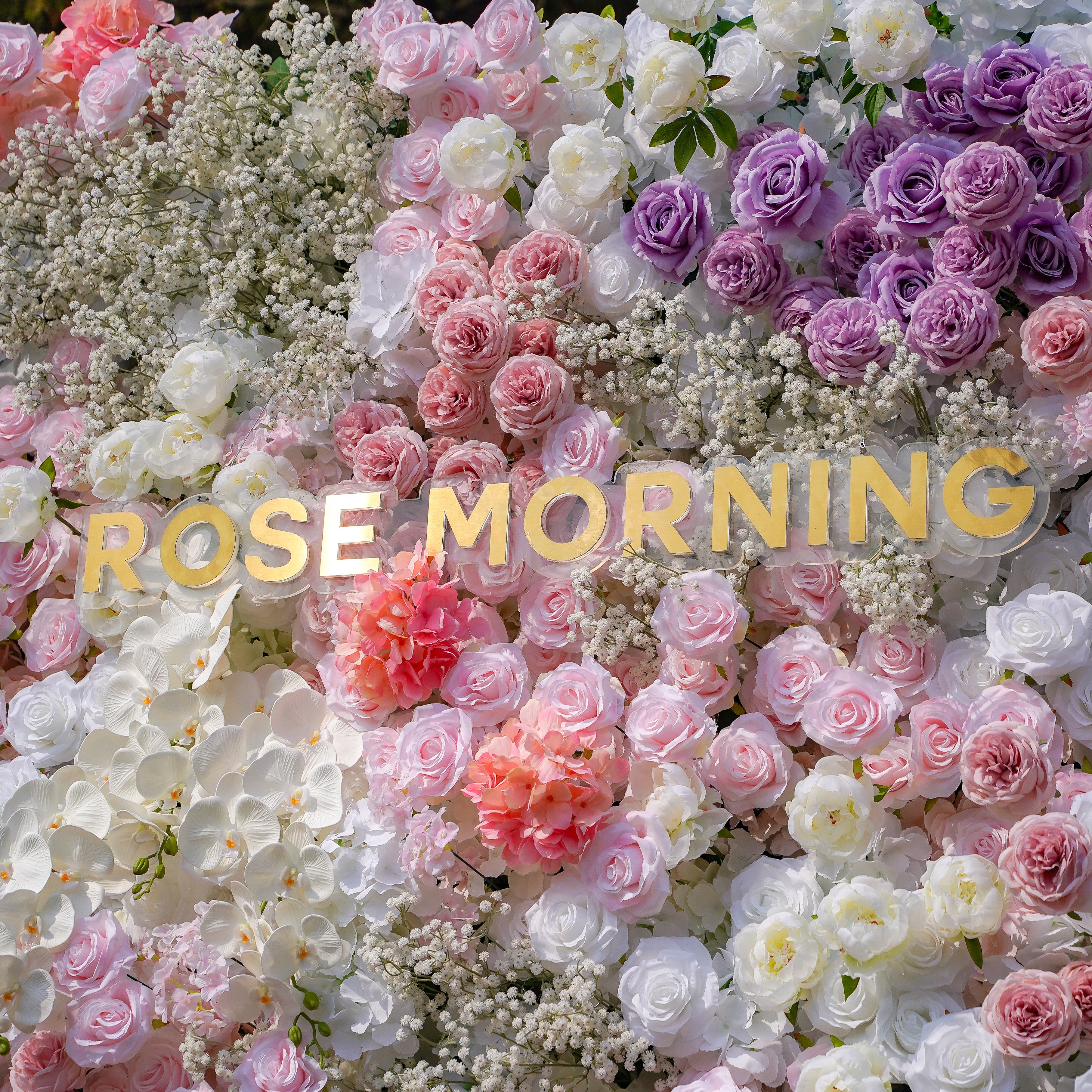 Nari:5D Fabric Artificial rolling up curtain flower wall Rose Morning