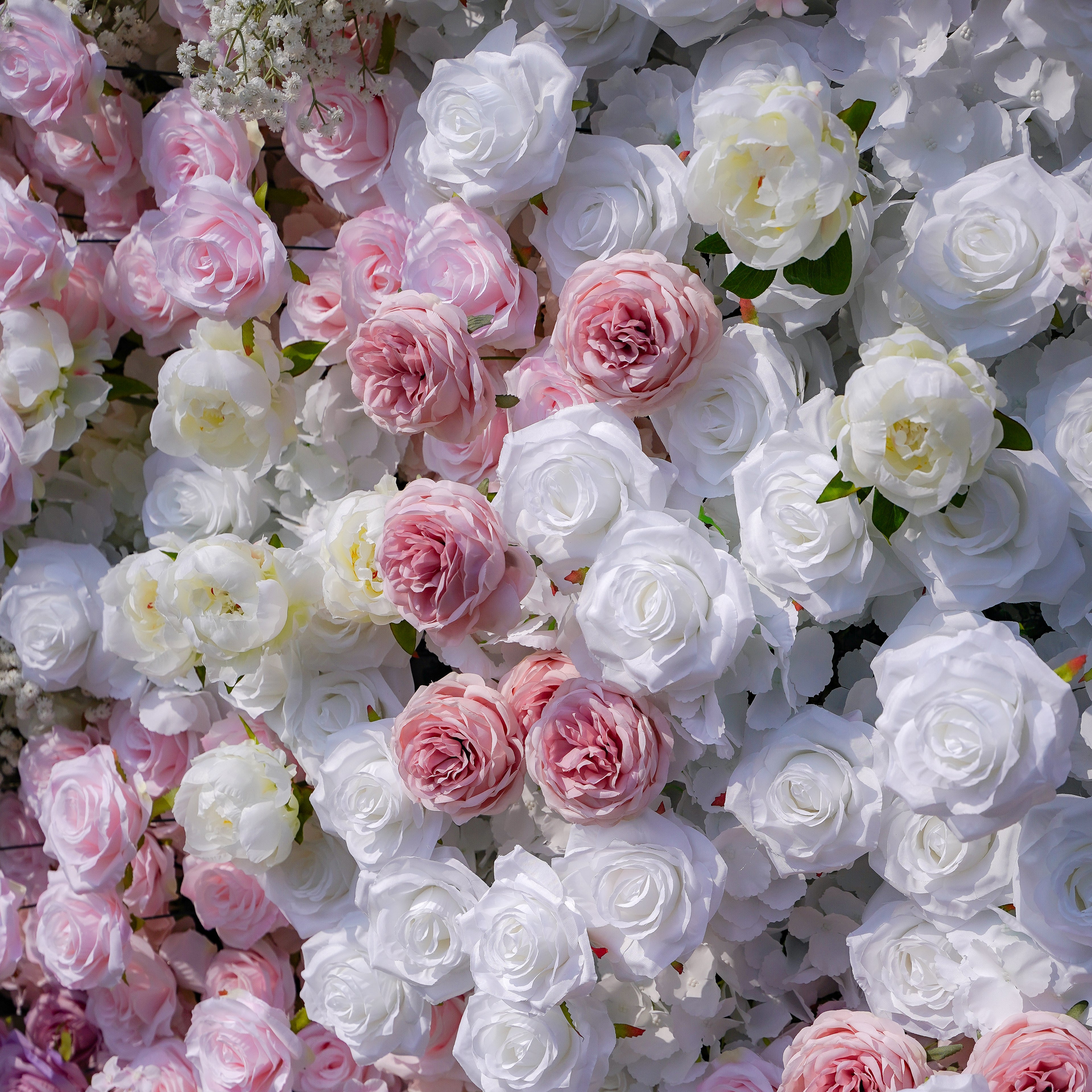 Nari:5D Fabric Artificial rolling up curtain flower wall Rose Morning