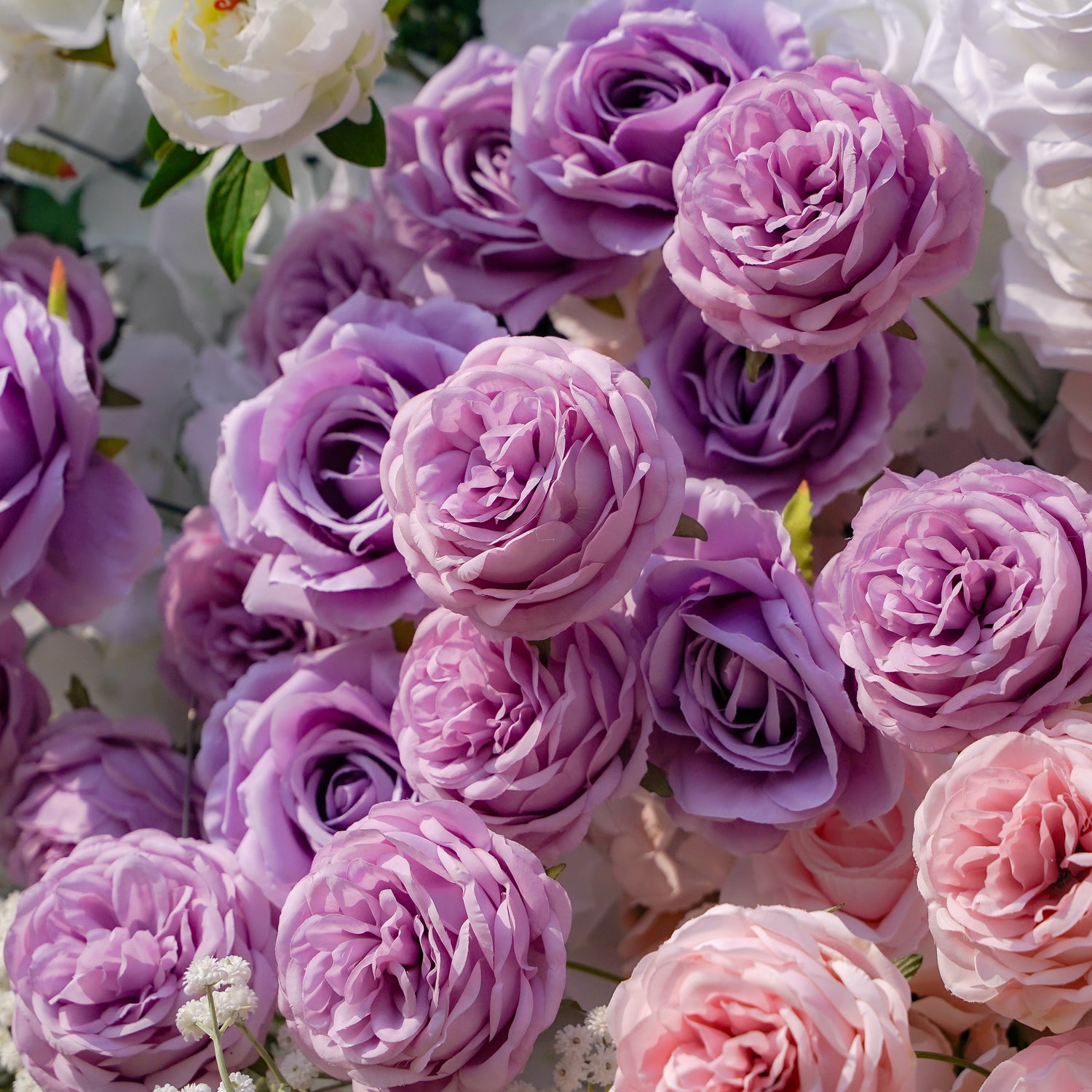 Nari:5D Fabric Artificial rolling up curtain flower wall Rose Morning
