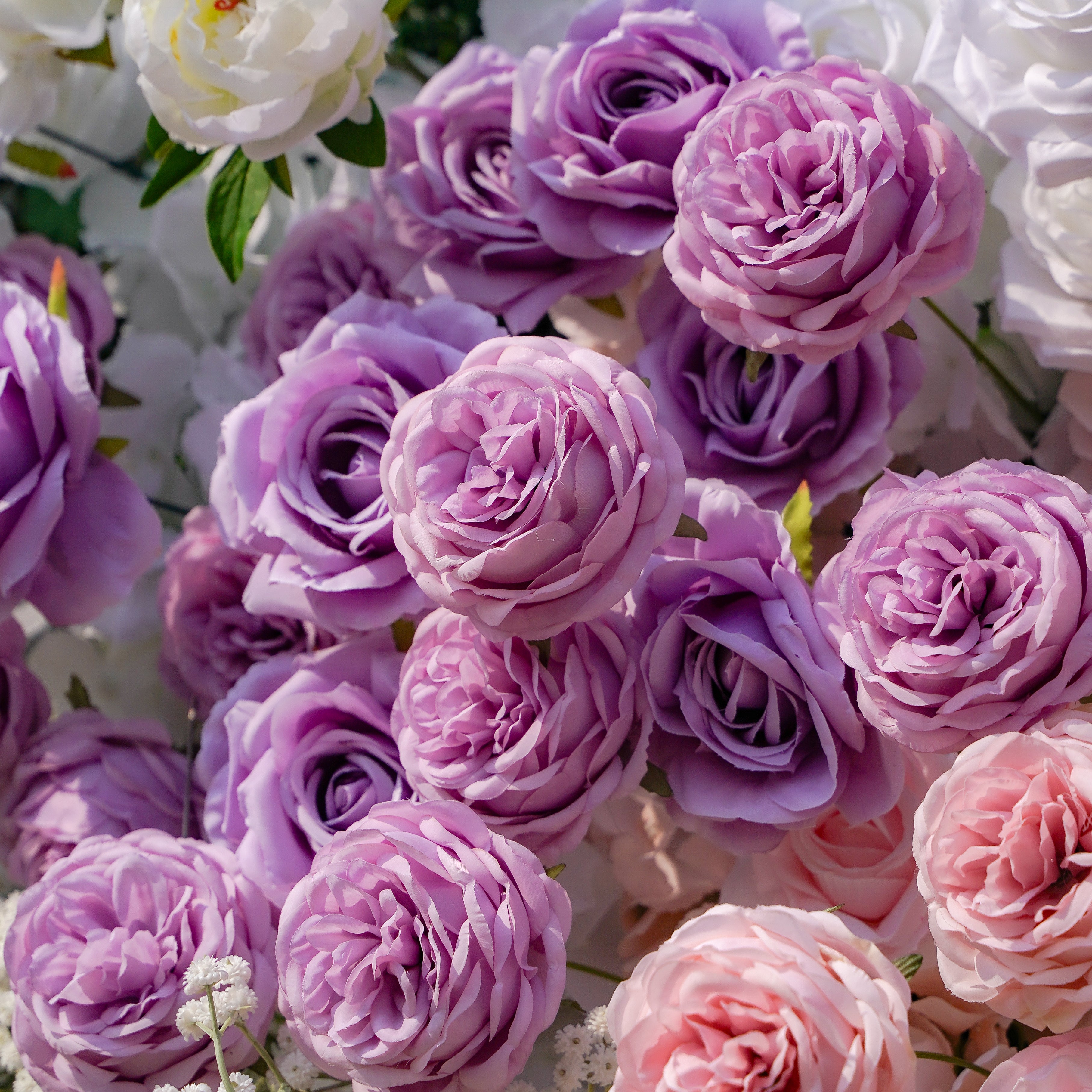Nari:5D Fabric Artificial rolling up curtain flower wall Rose Morning