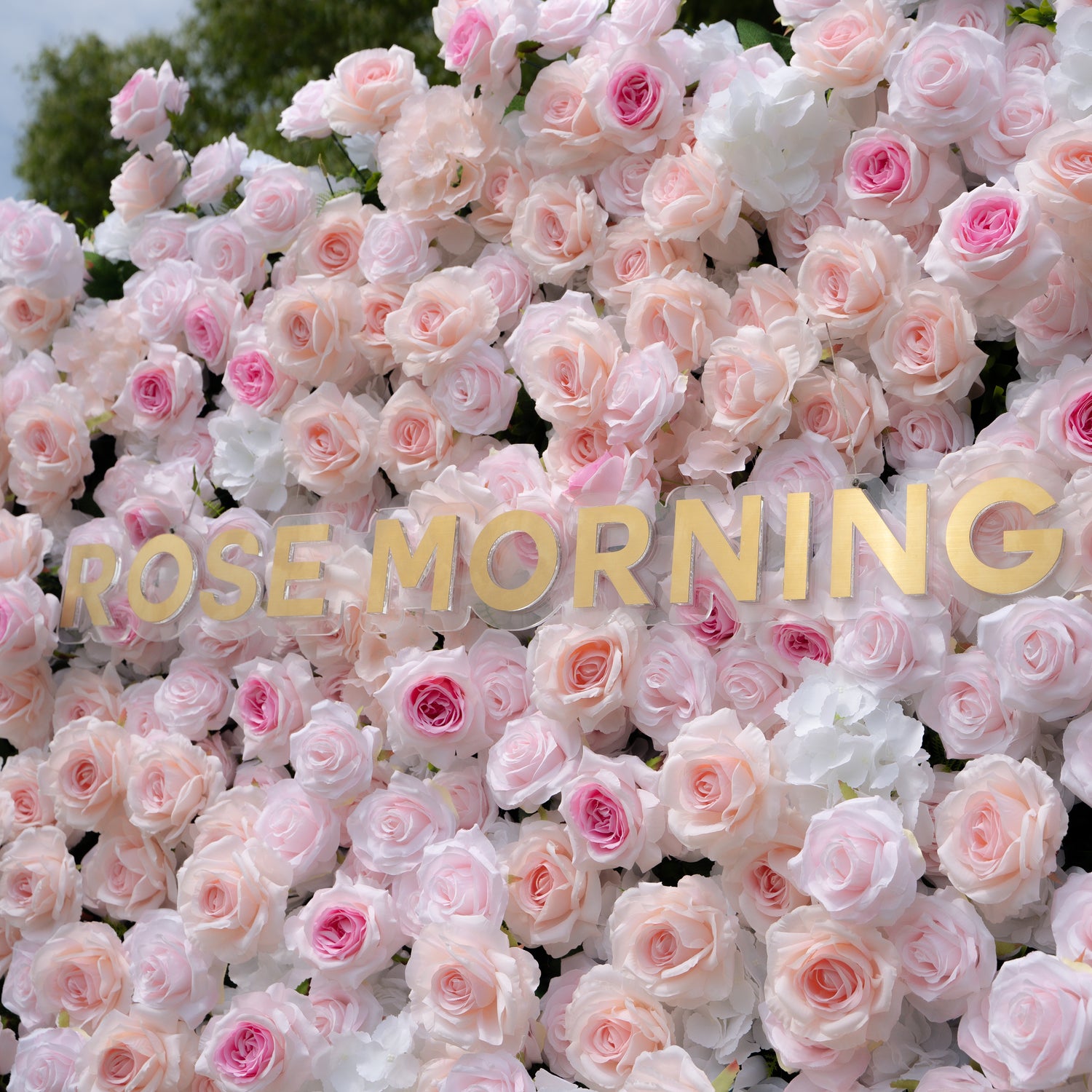 Natalia:5D Fabric Artificial rolling up curtain flower wall(复制) Rose Morning