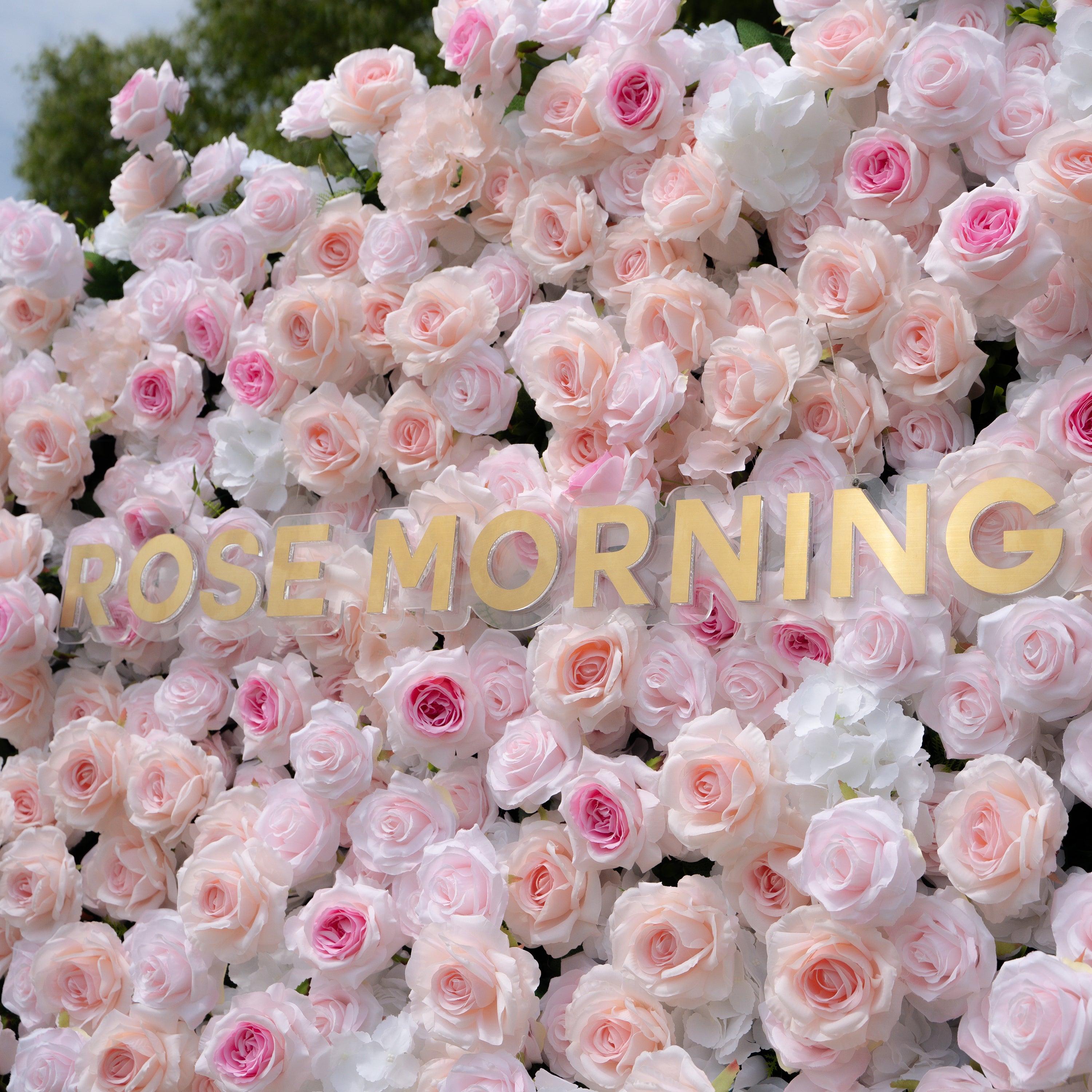 Natalia:5D Fabric Artificial rolling up curtain flower wall(复制) Rose Morning
