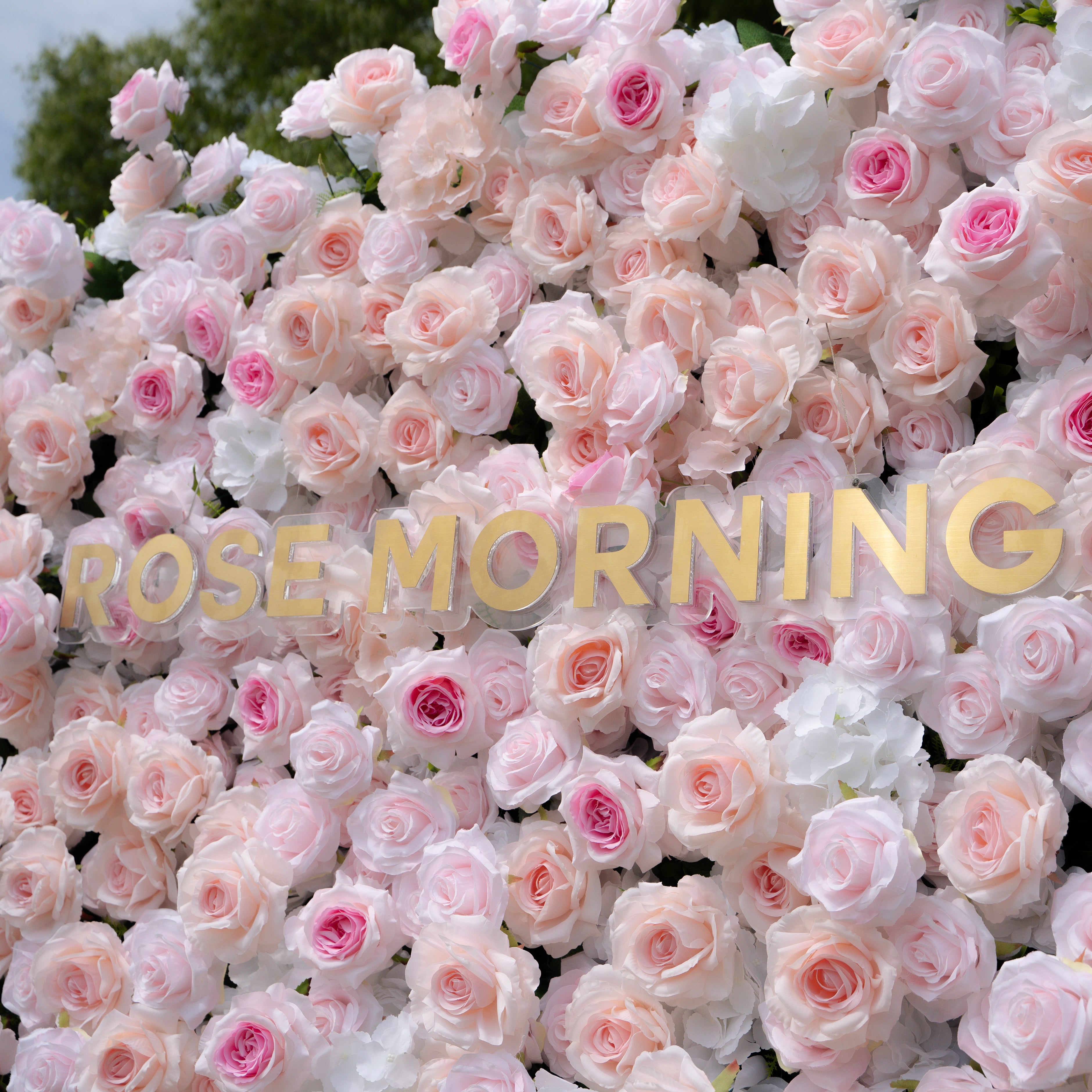 Natalia:5D Fabric Artificial rolling up curtain flower wall(复制) Rose Morning