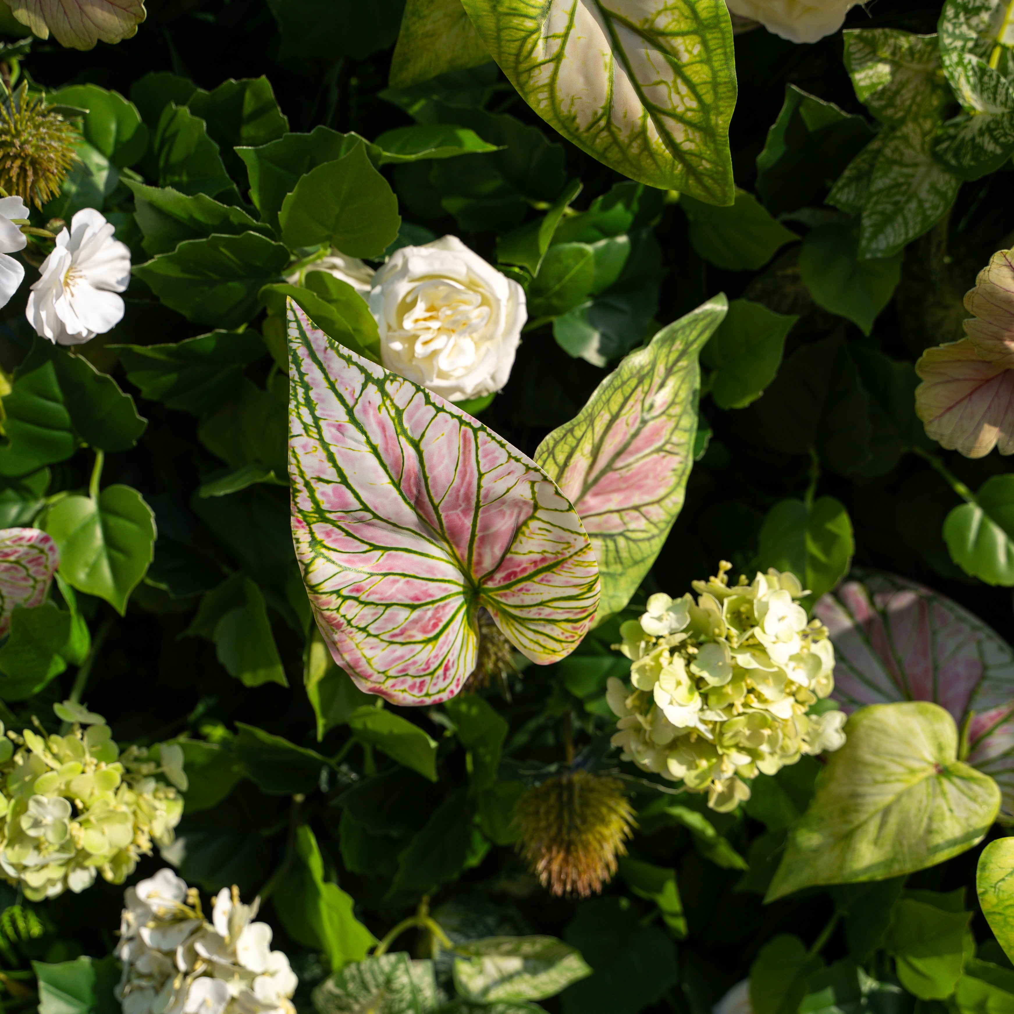 Nives:4D Fabric Artificial rolling up curtain flower wall (Ready to ship)(Used for shooting-Only USA)