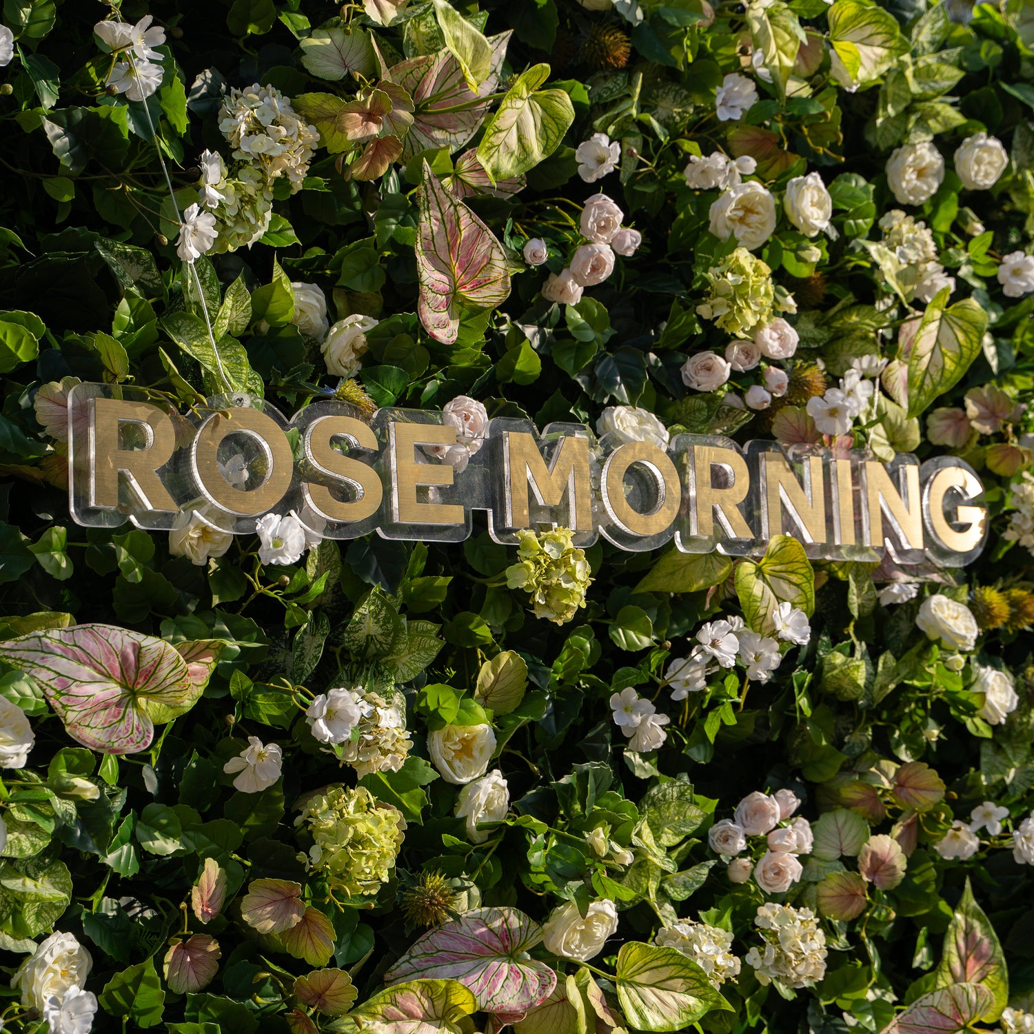 Nives:4D Fabric Artificial rolling up curtain flower wall