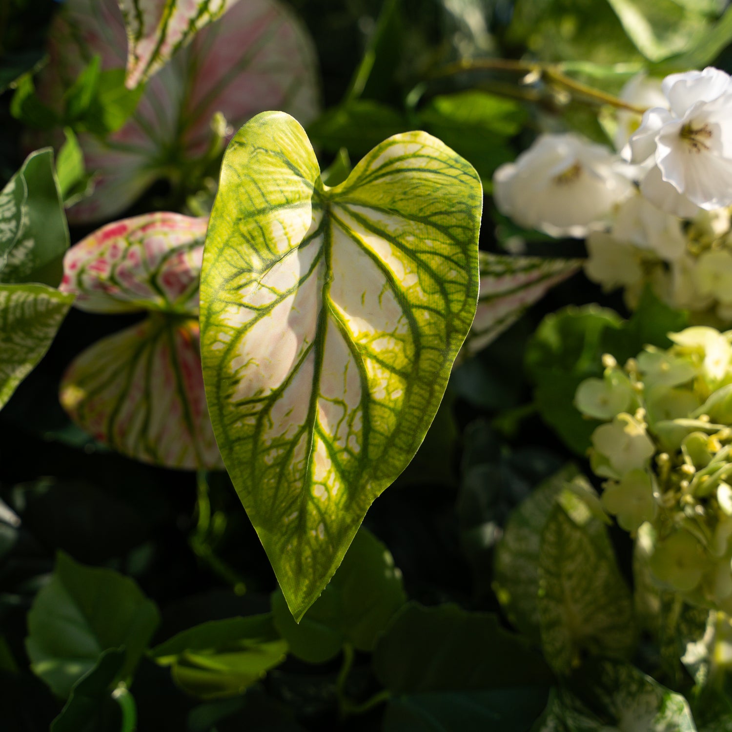 Nives:4D Fabric Artificial rolling up curtain flower wall