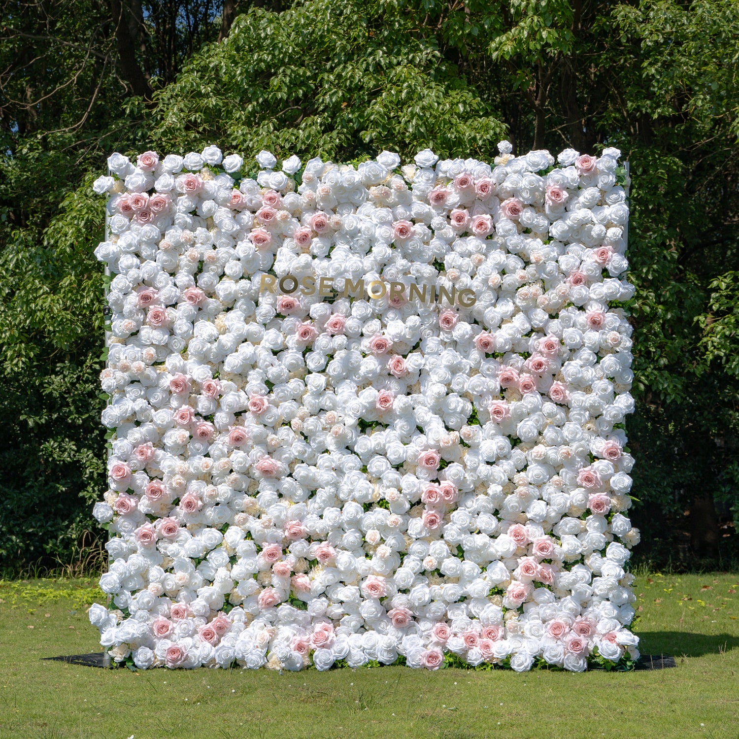 Paisley:5D Fabric Artificial rolling up curtain flower wall (Ready to ship) Rose Morning