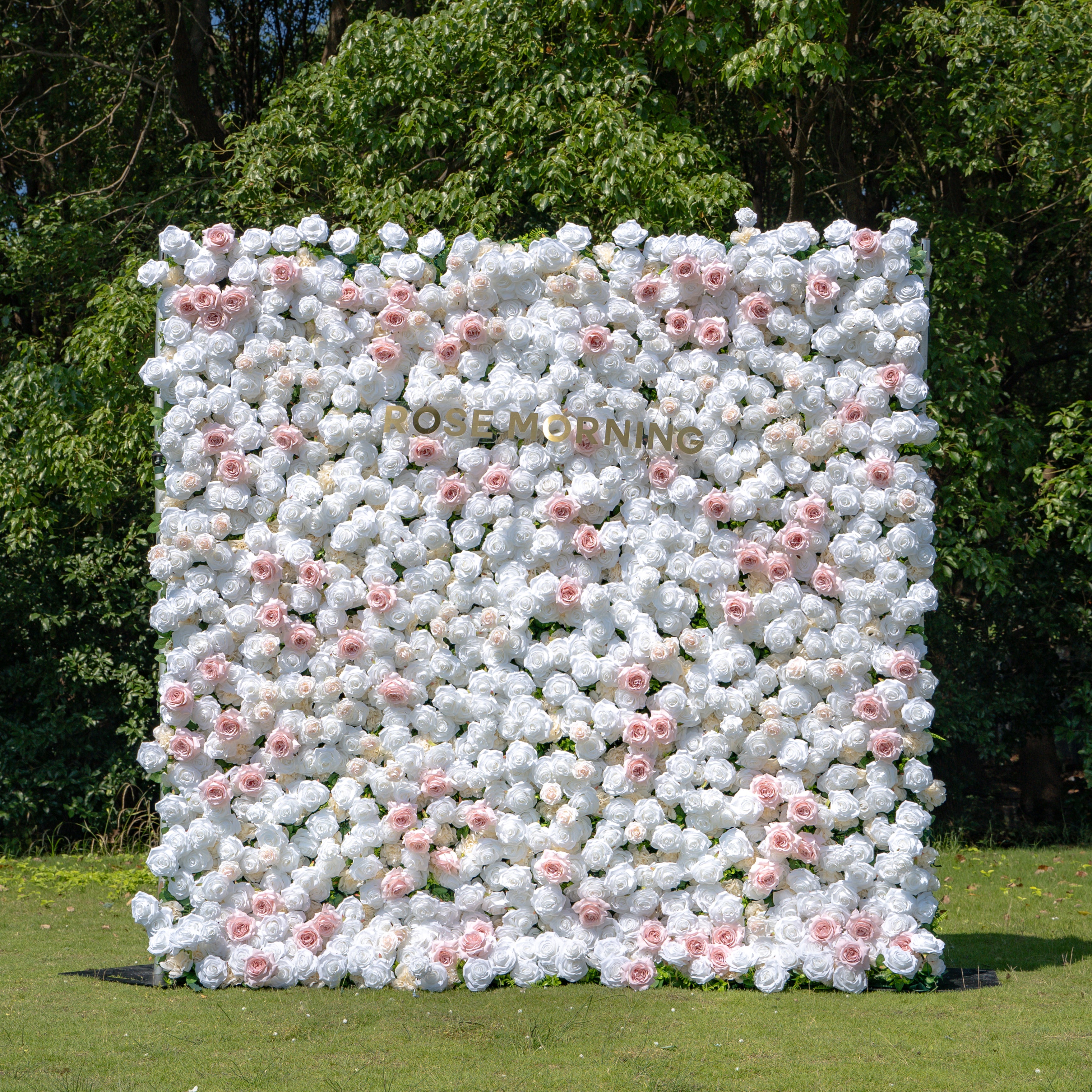 Paisley:5D Fabric Artificial rolling up curtain flower wall (Ready to ship) Rose Morning