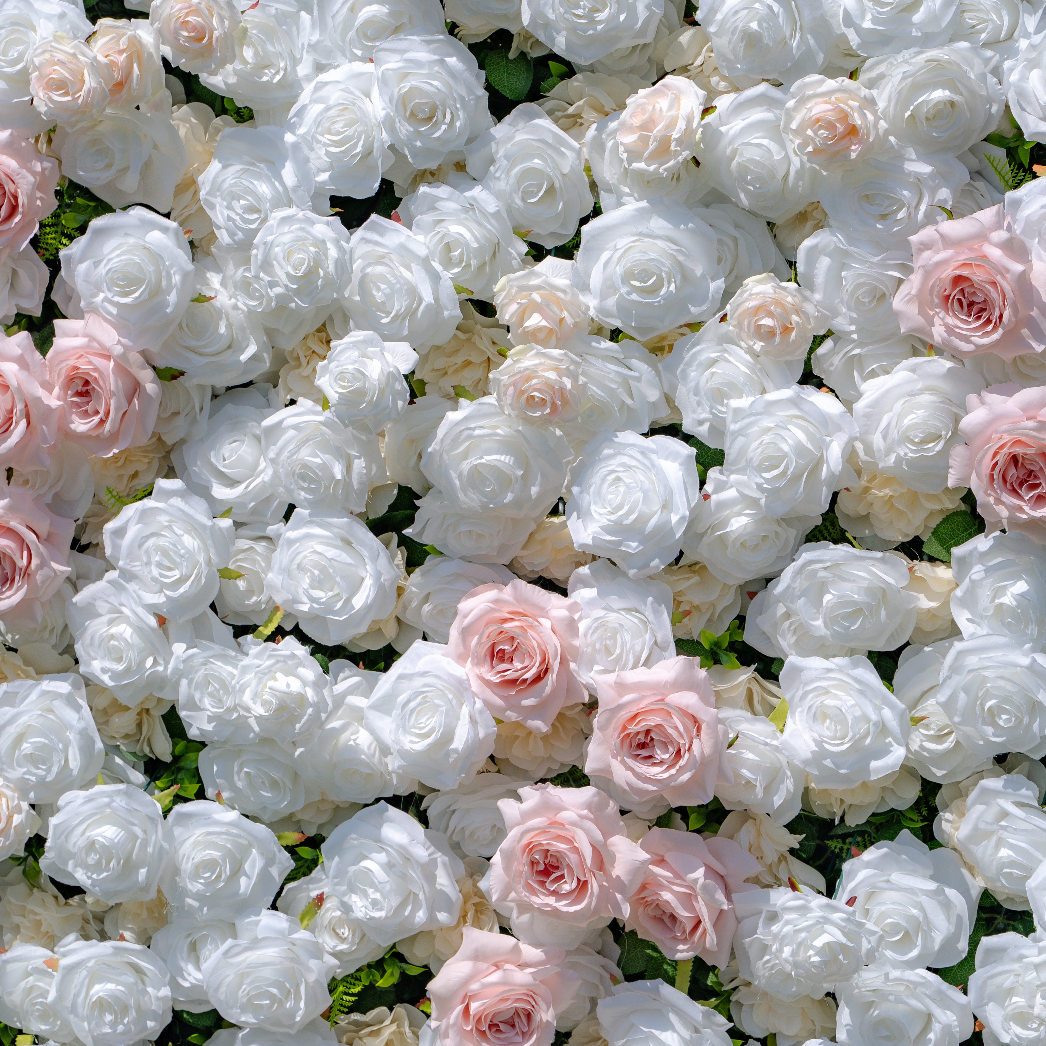 Paisley:5D Fabric Artificial rolling up curtain flower wall (Ready to ship) Rose Morning
