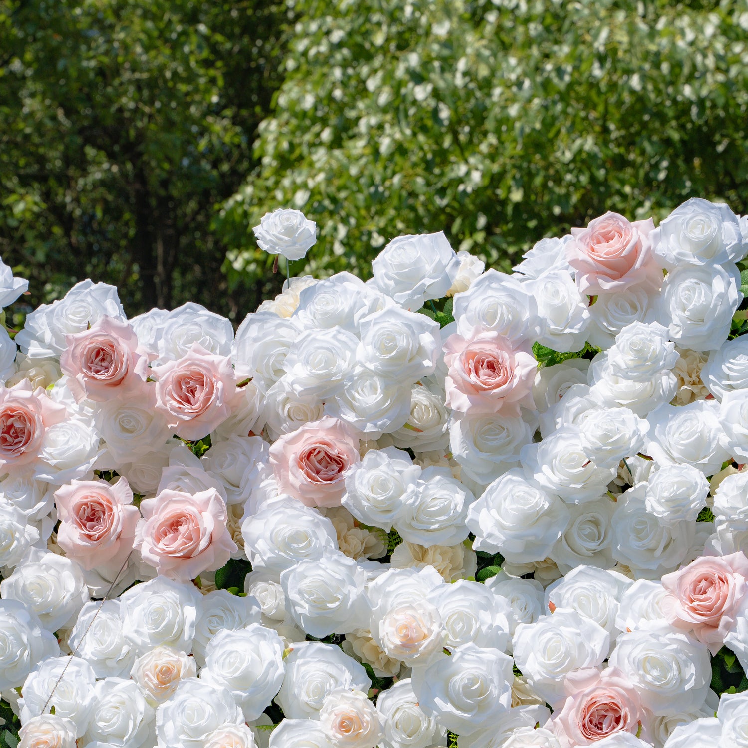 Paisley:5D Fabric Artificial rolling up curtain flower wall (Ready to ship) Rose Morning