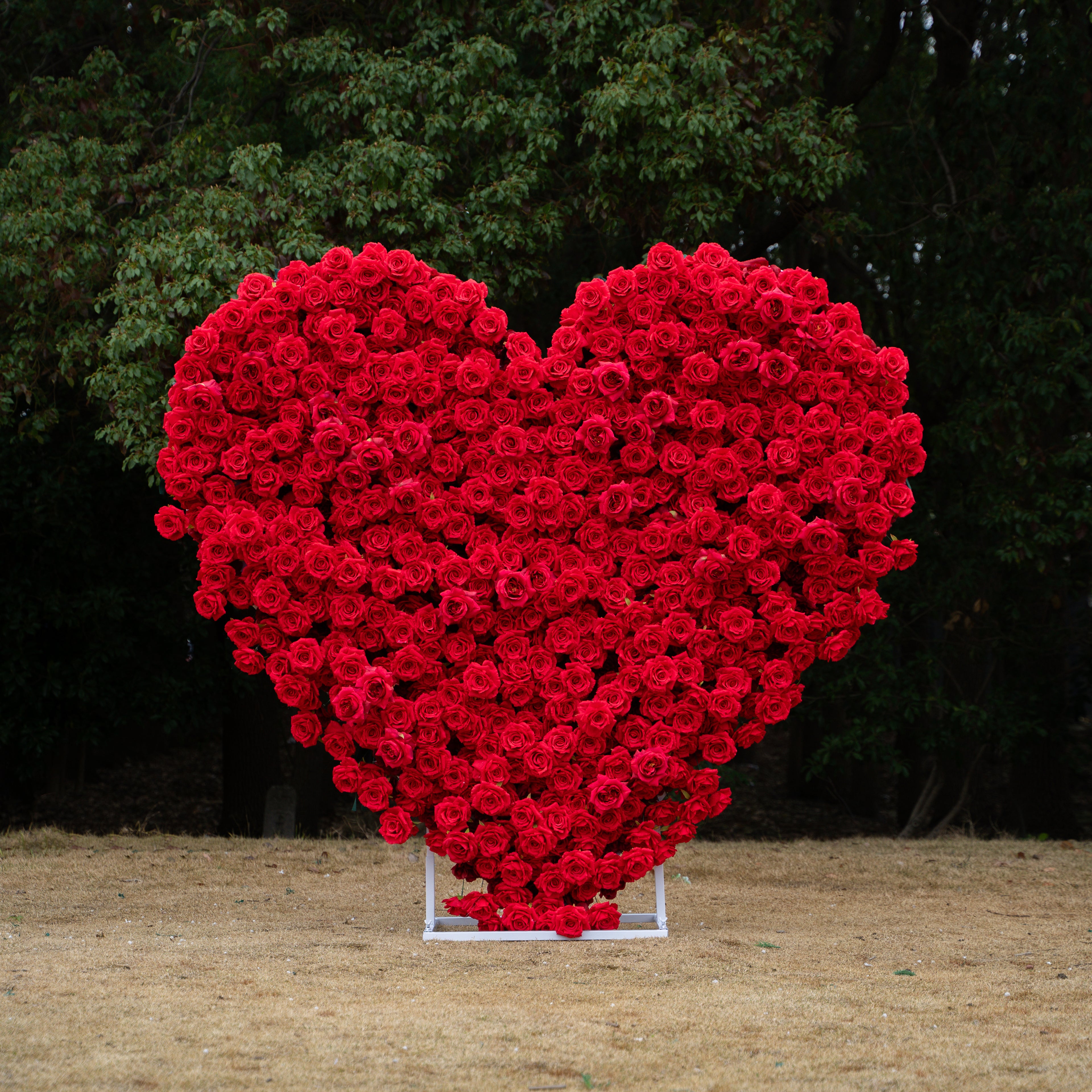Passion Heart Wall:3D Fabric Artificial rolling up curtain flower wall (6.2ft*6.9ft)