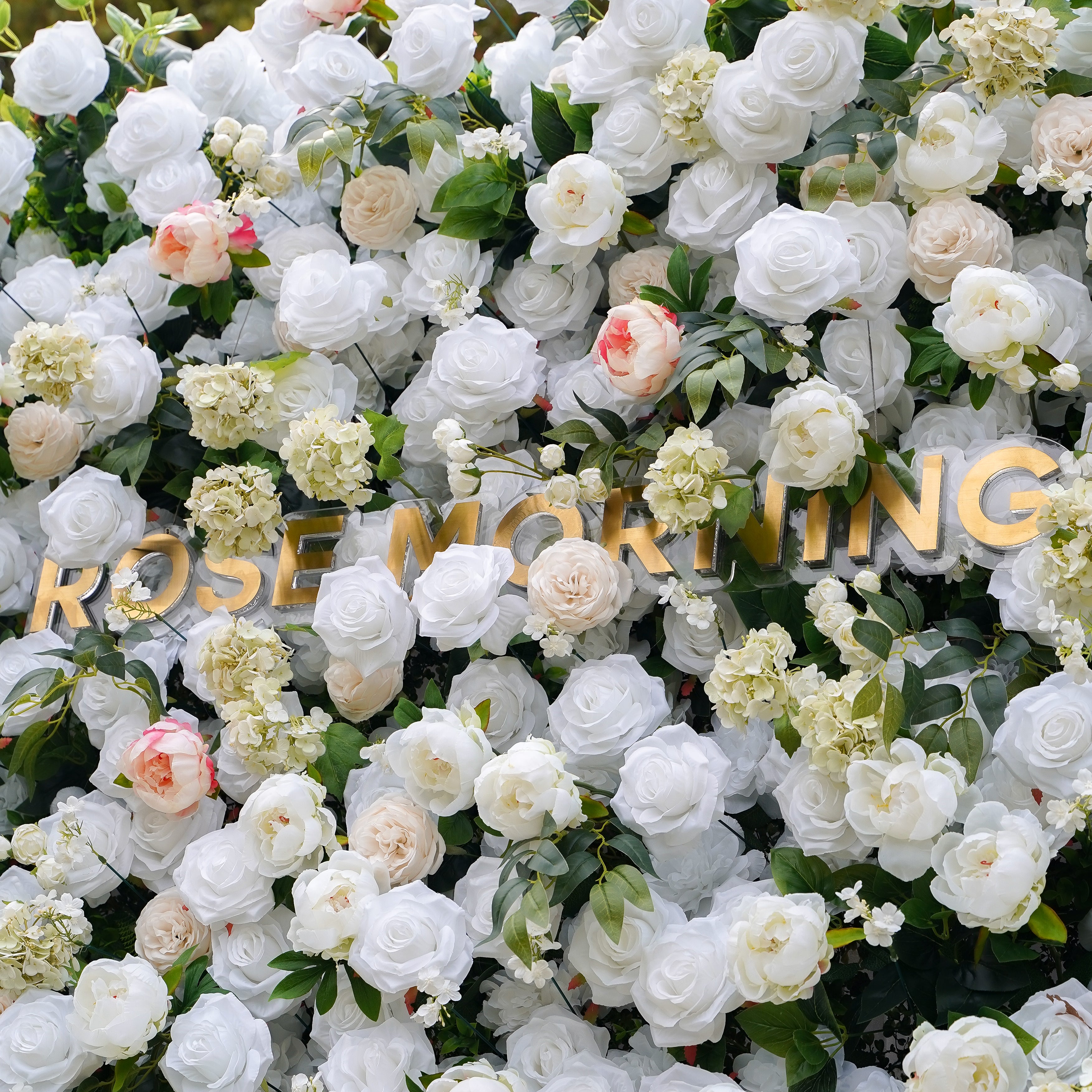 Peonies:5D Fabric Artificial rolling up curtain flower wall Rose Morning