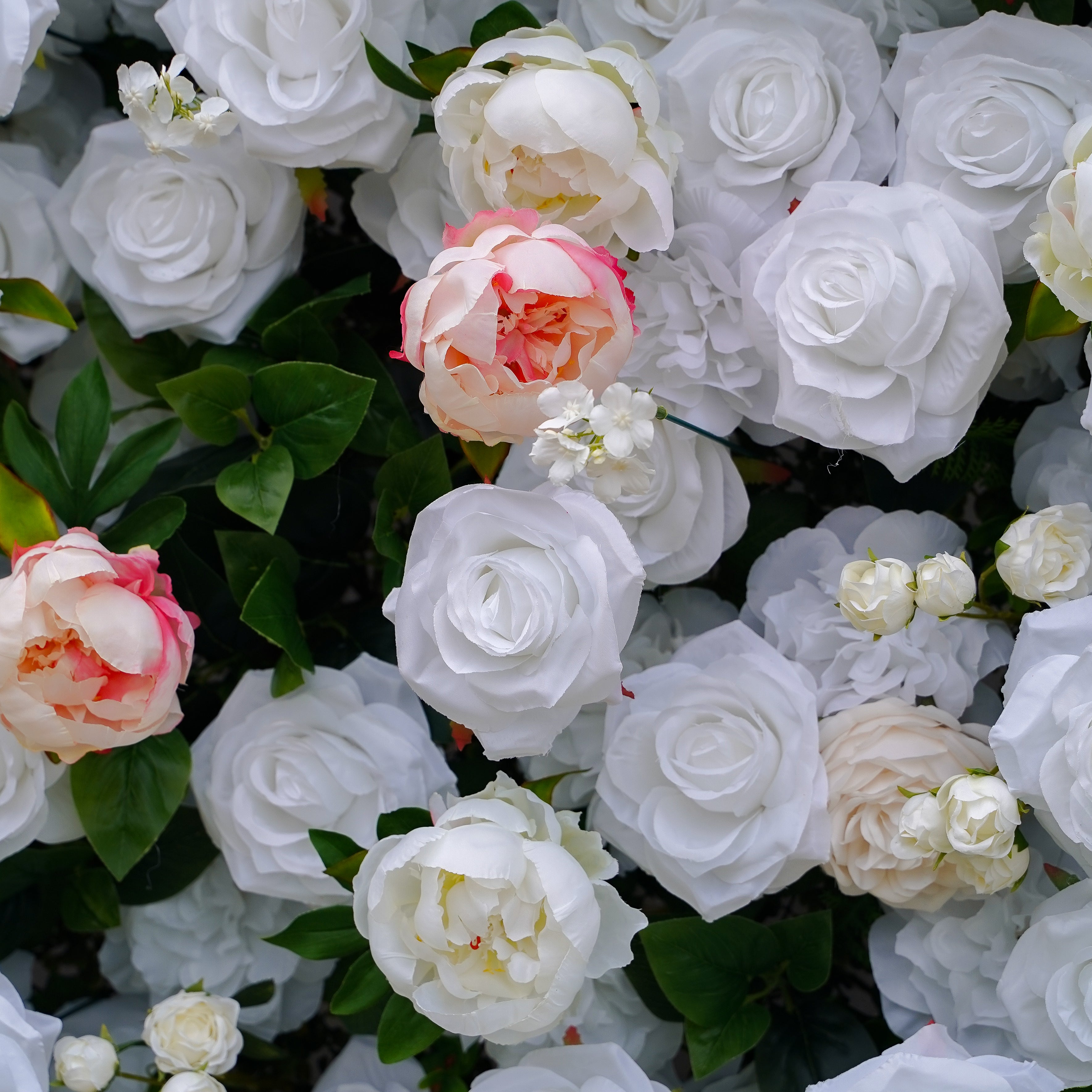 Peonies:5D Fabric Artificial rolling up curtain flower wall Rose Morning