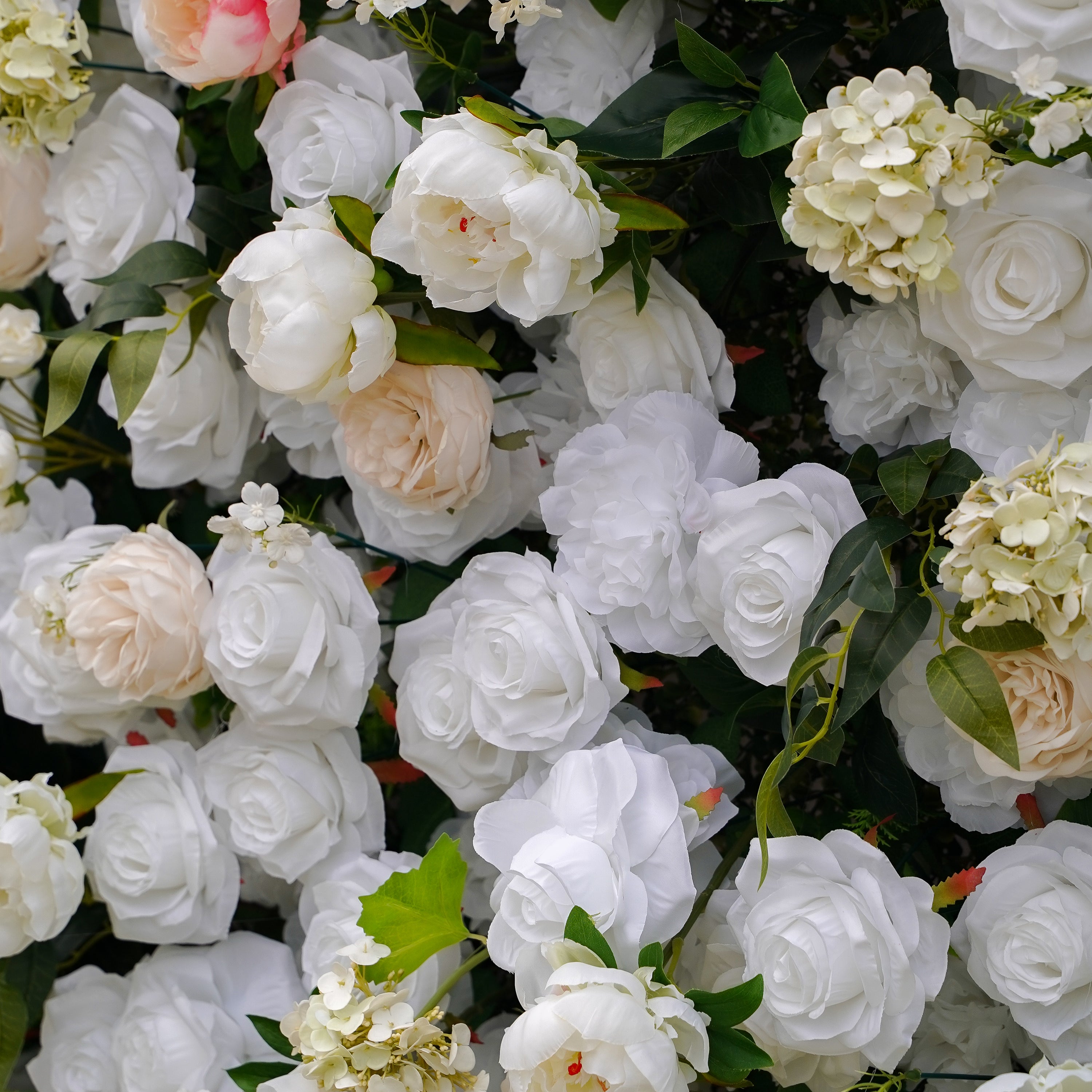 Peonies:5D Fabric Artificial rolling up curtain flower wall Rose Morning