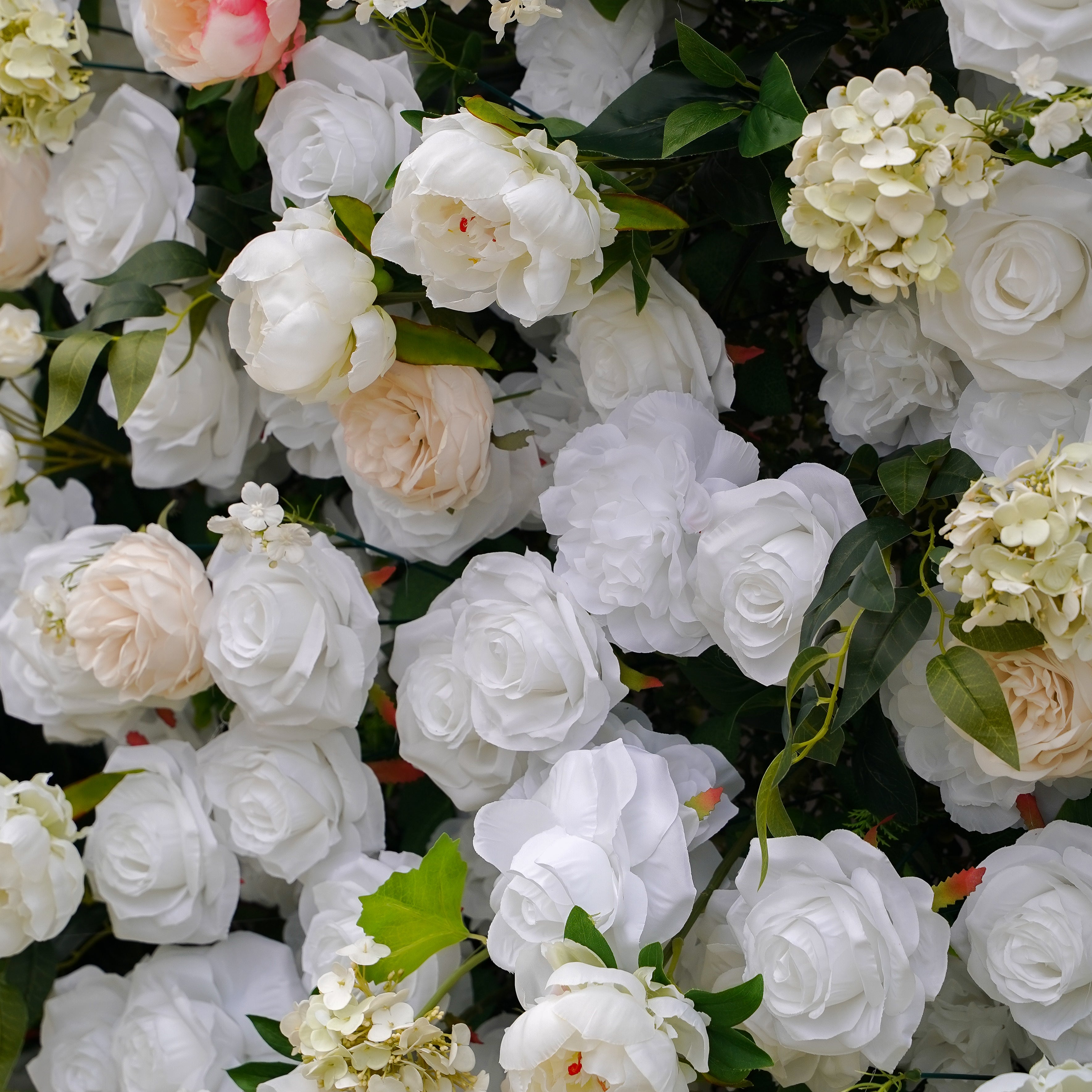 Peonies:5D Fabric Artificial rolling up curtain flower wall Rose Morning