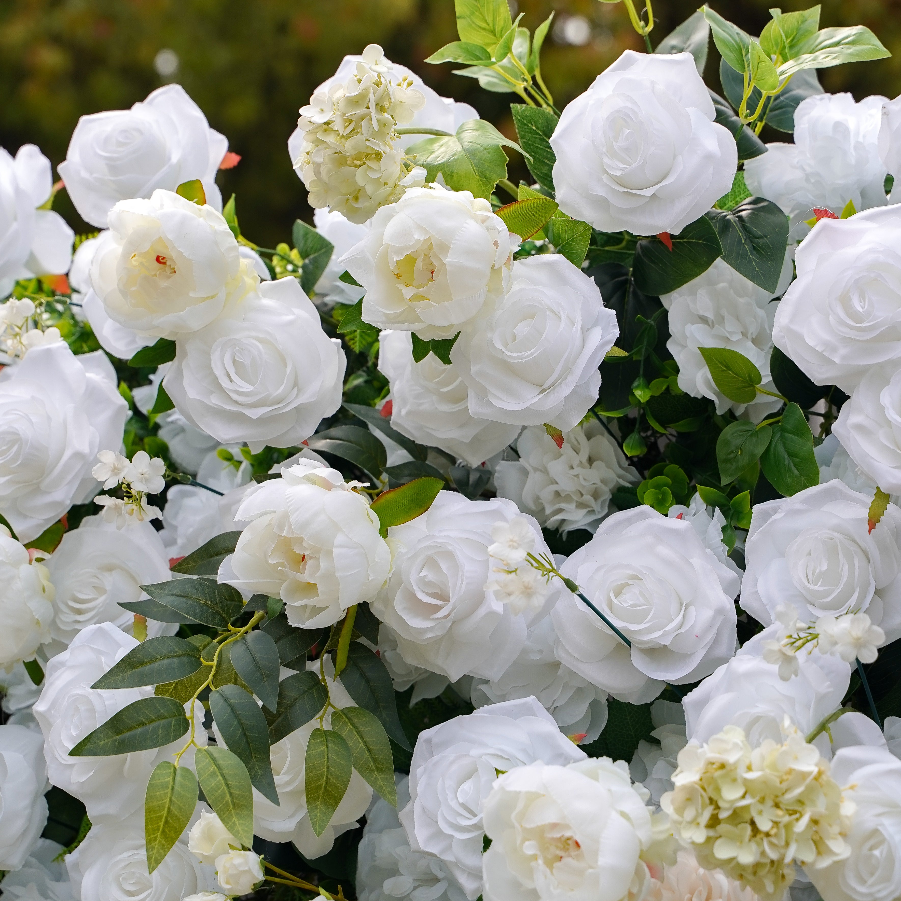 Peonies:5D Fabric Artificial rolling up curtain flower wall Rose Morning