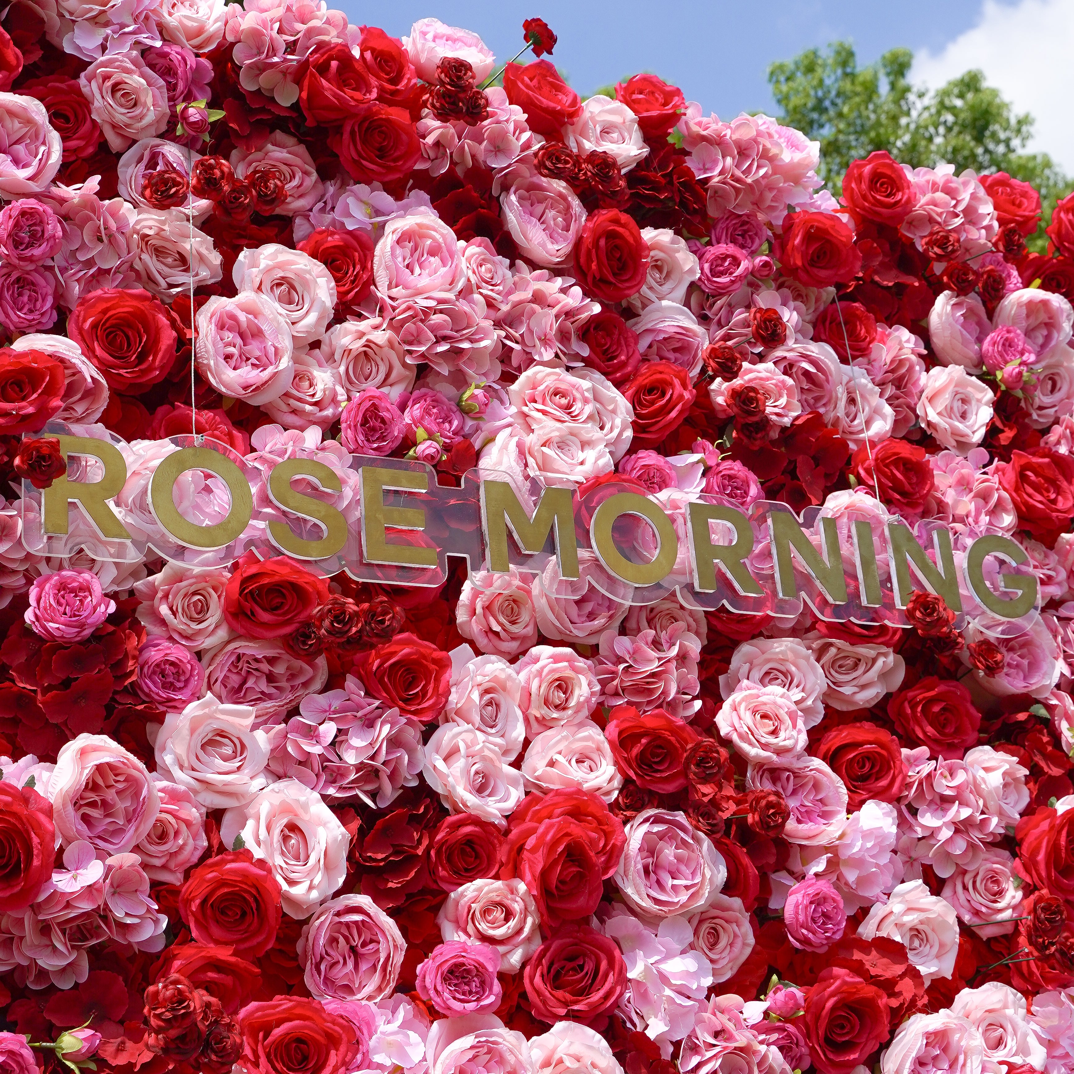 Peyton: 3D Fabric Artificial Flower Wall Rolling Up Curtain Flower Wall 8ft*8ft -R038 Rose Morning