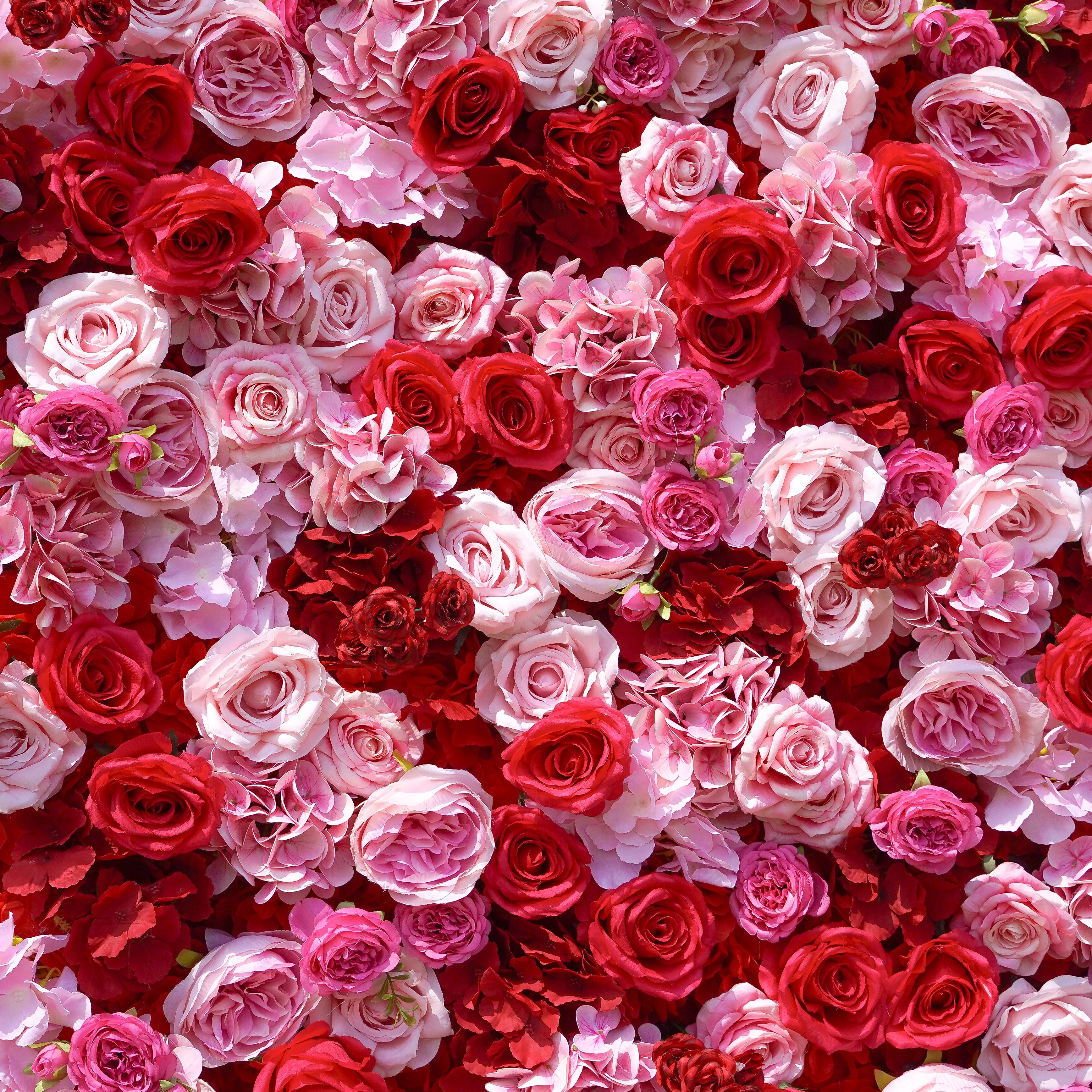 Peyton: 3D Fabric Artificial Flower Wall Rolling Up Curtain Flower Wall 8ft*8ft -R038 Rose Morning
