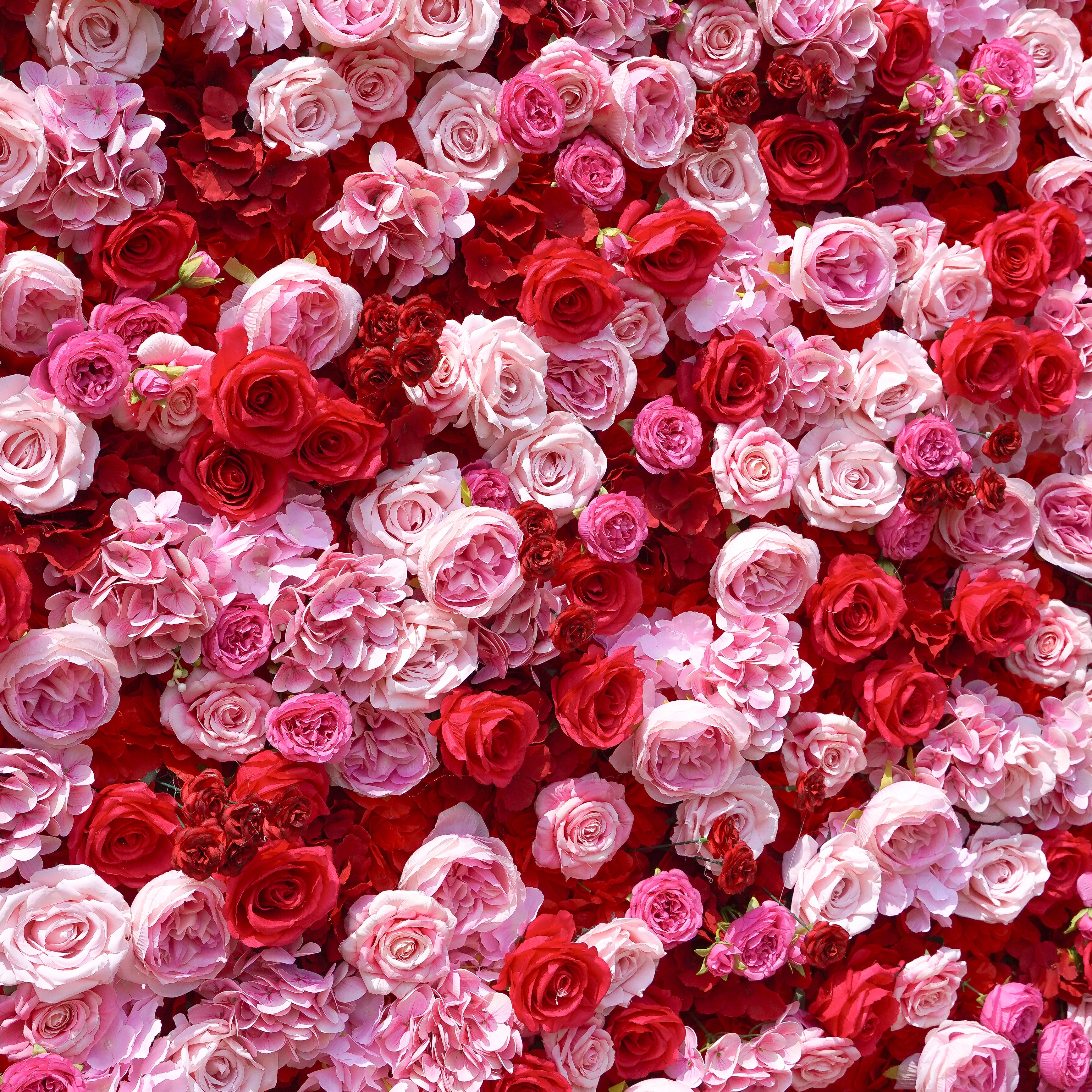 Peyton: 3D Fabric Artificial Flower Wall Rolling Up Curtain Flower Wall 8ft*8ft -R038 Rose Morning